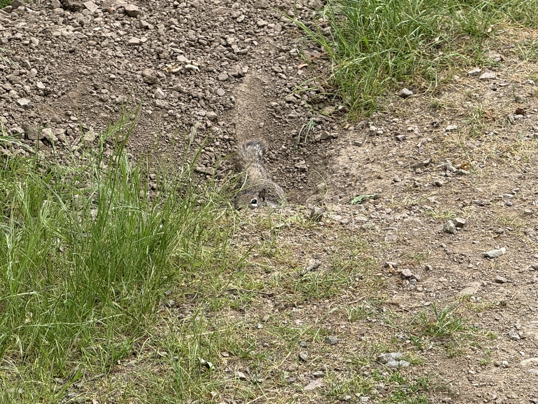 Sunol Wilderness Regional Preserve