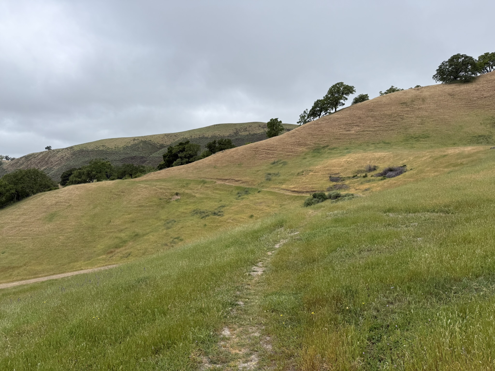 Sunol Wilderness Regional Preserve