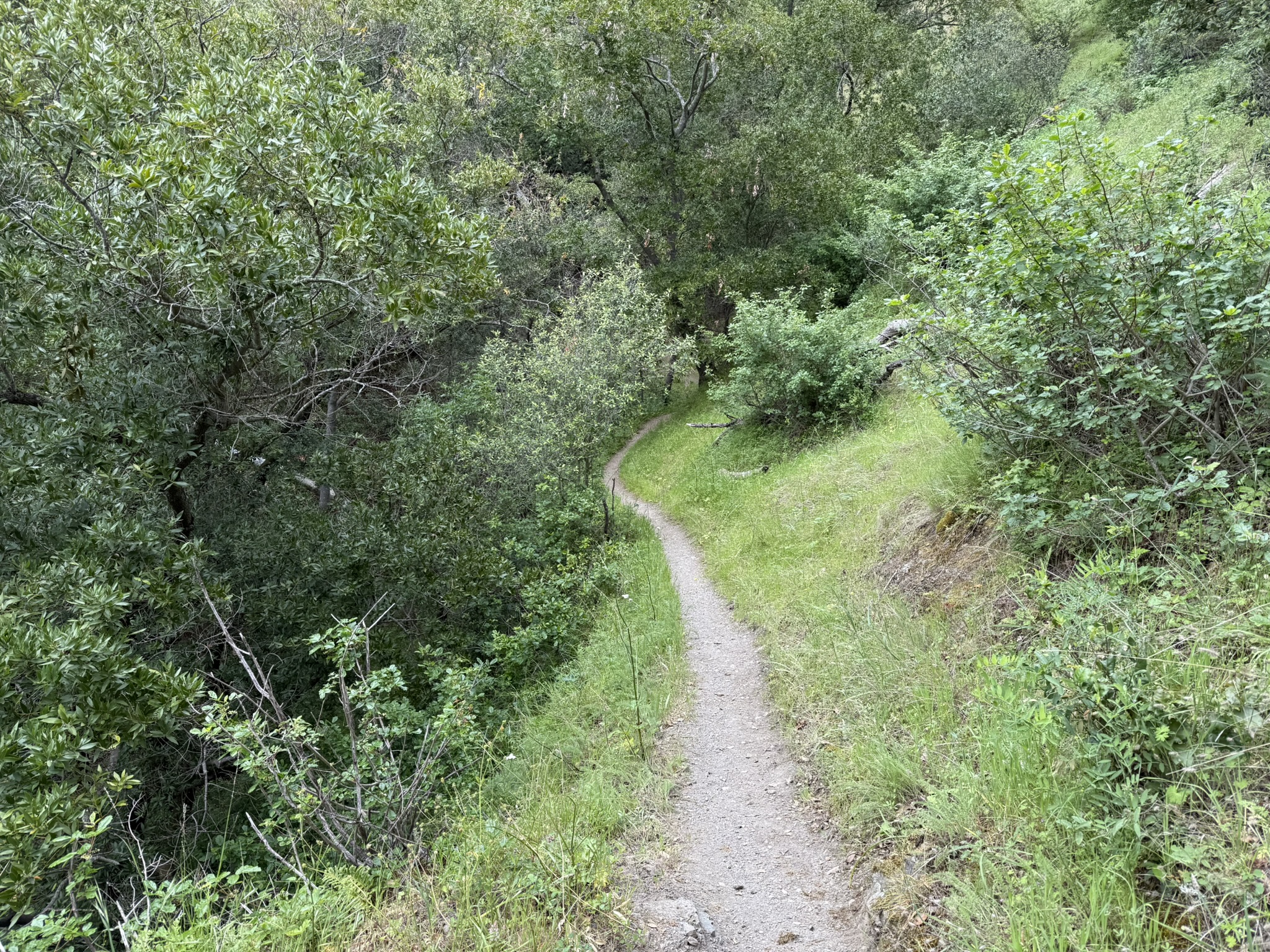 Sunol Wilderness Regional Preserve