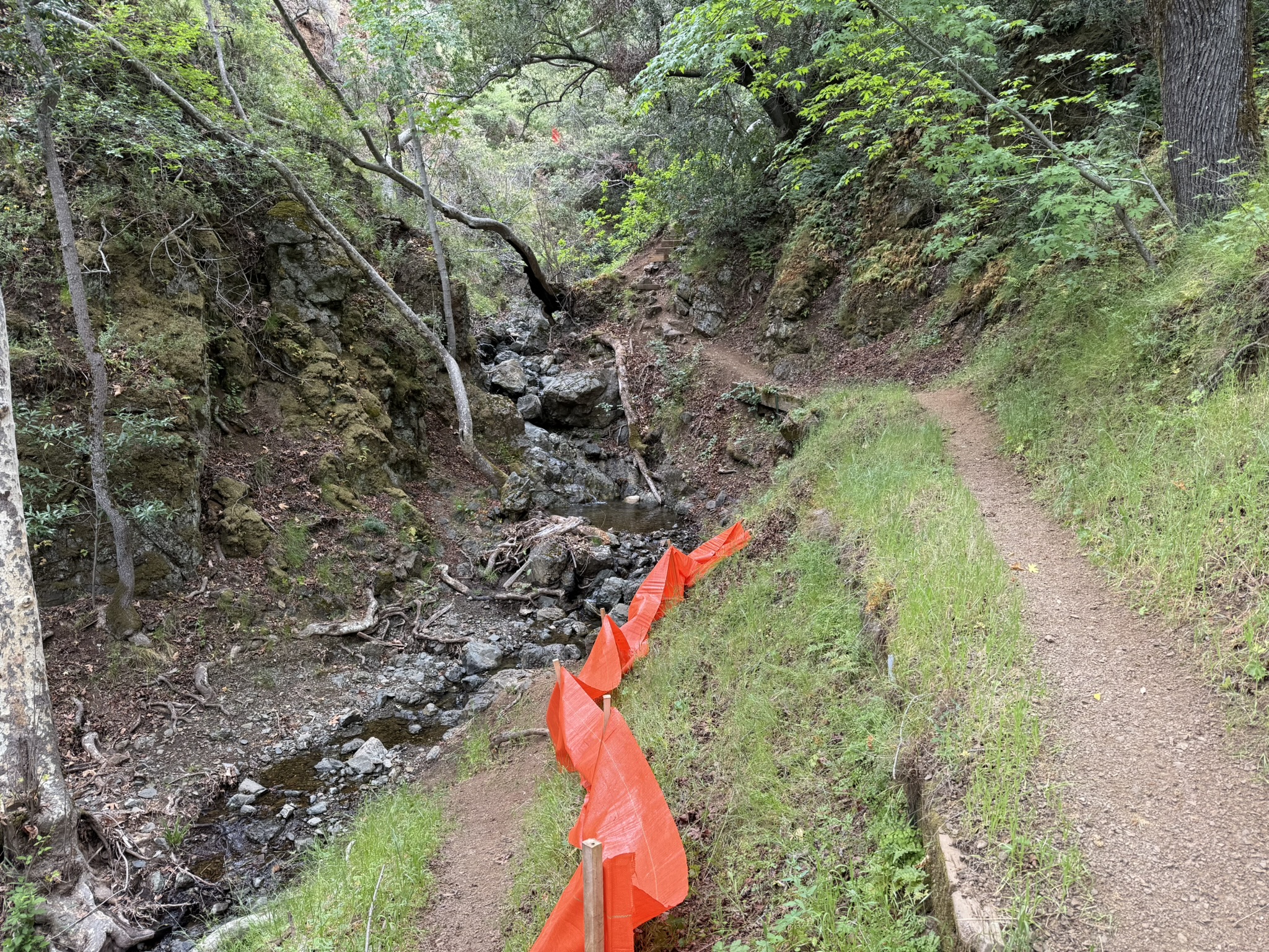 Sunol Wilderness Regional Preserve
