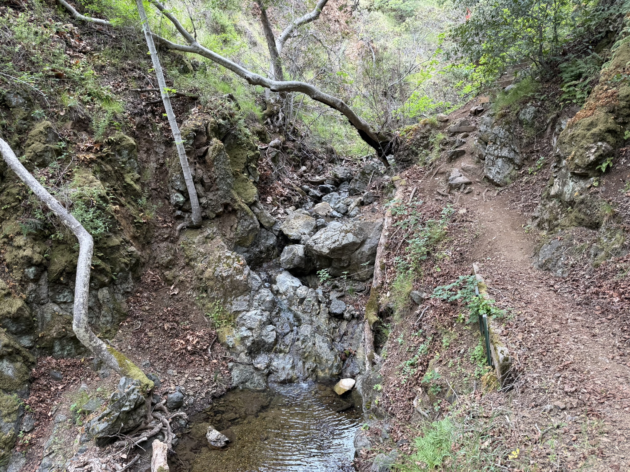 Sunol Wilderness Regional Preserve