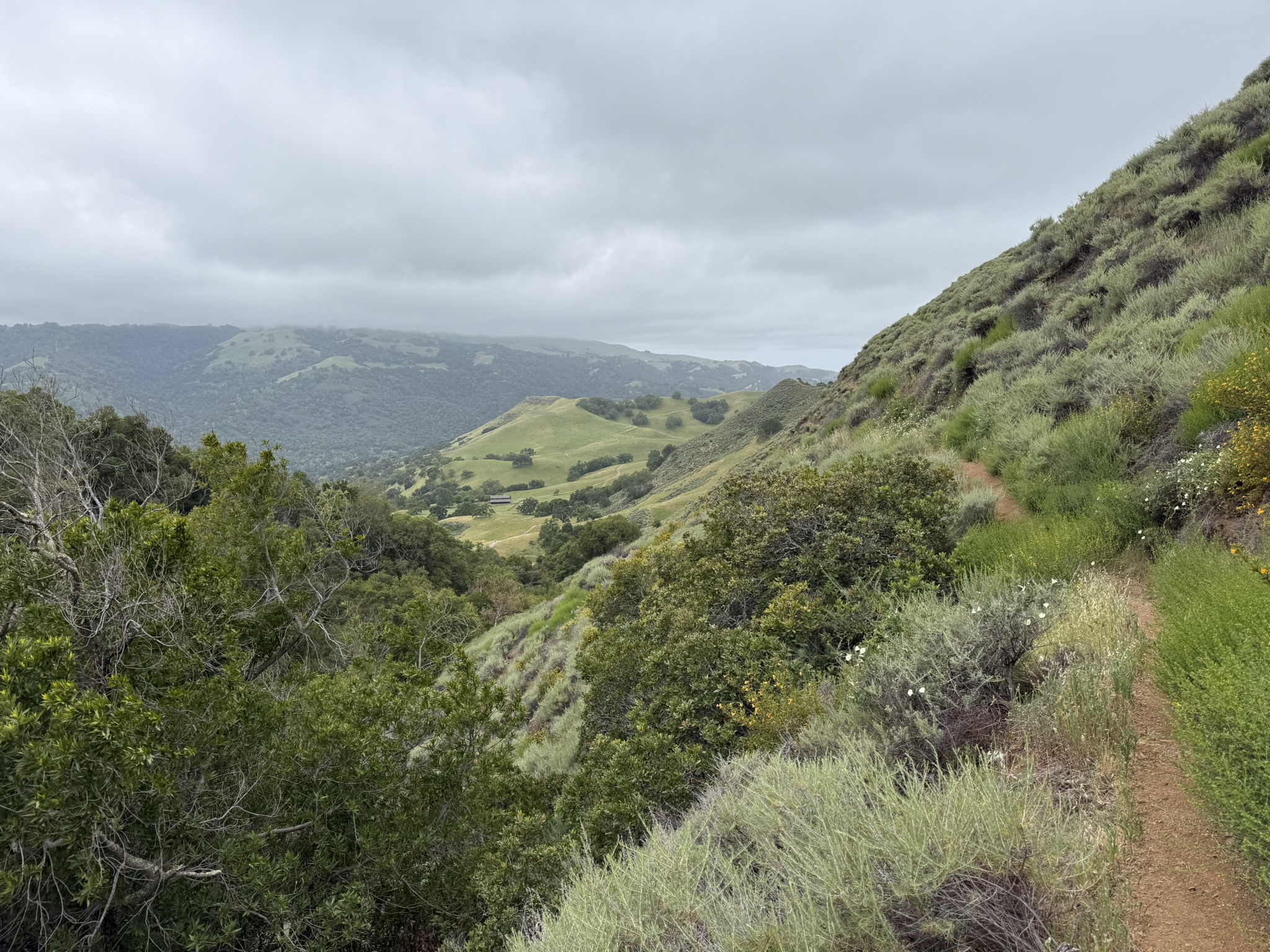 Sunol Wilderness Regional Preserve