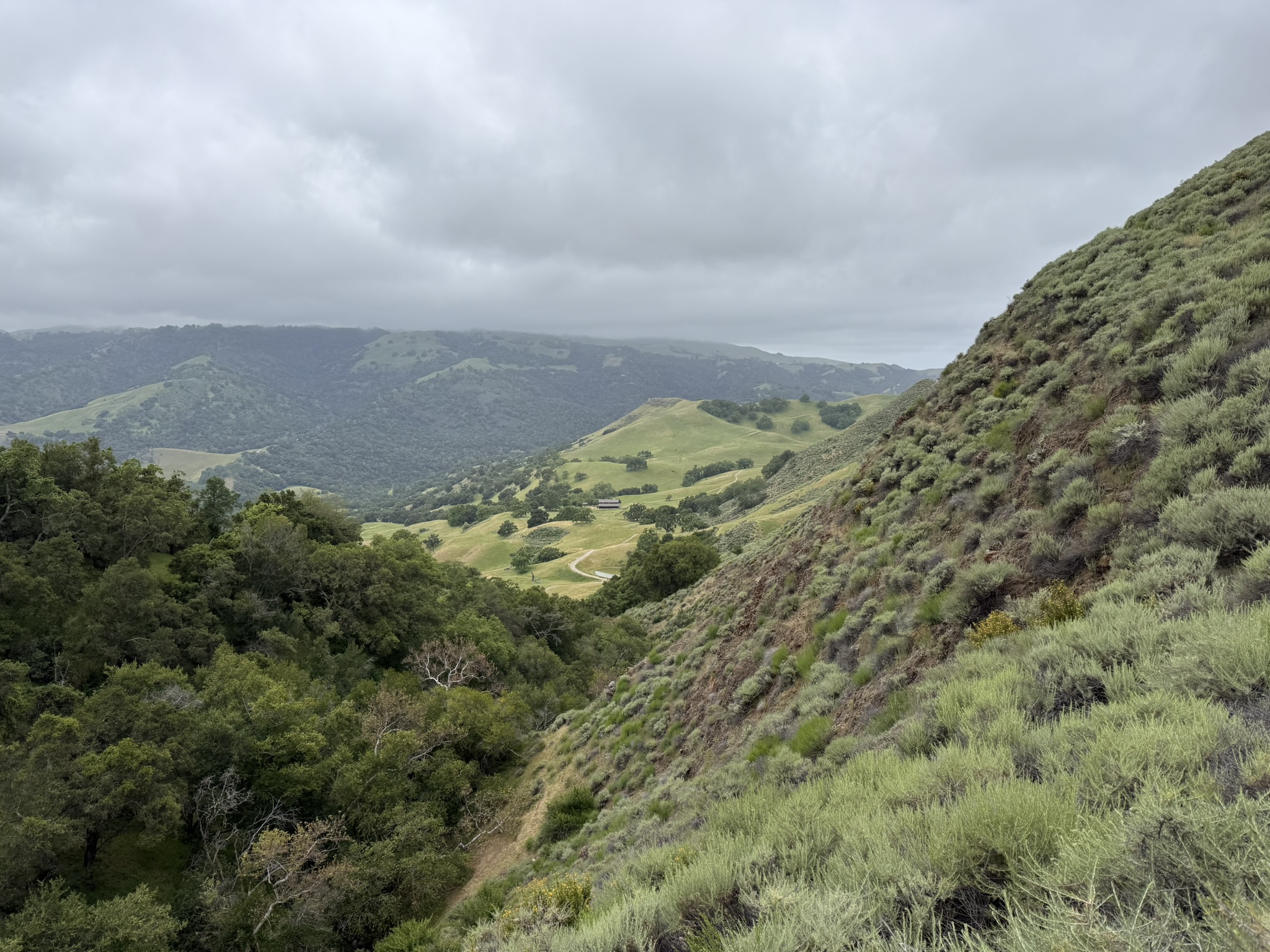 Sunol Wilderness Regional Preserve