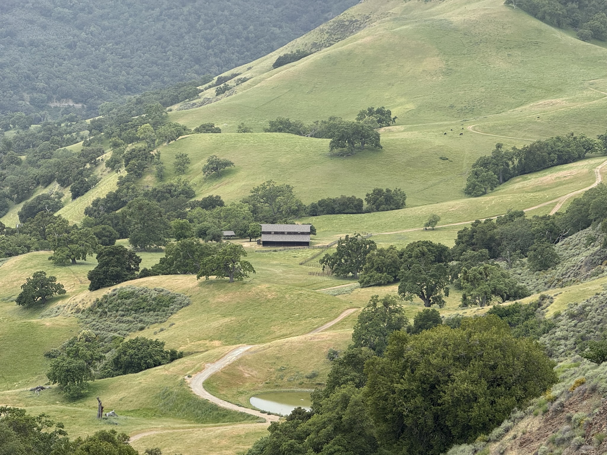 Sunol Wilderness Regional Preserve