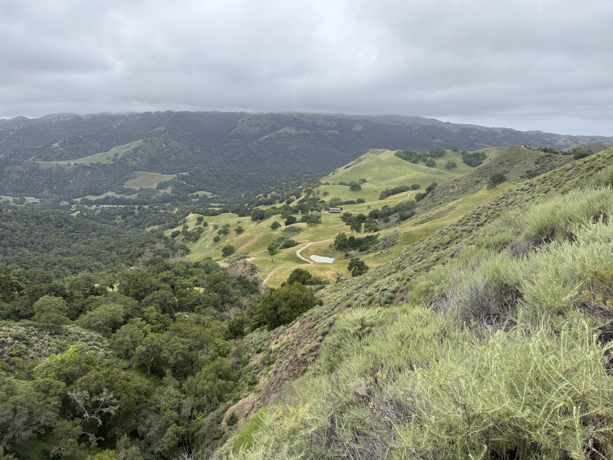 Sunol Wilderness Regional Preserve
