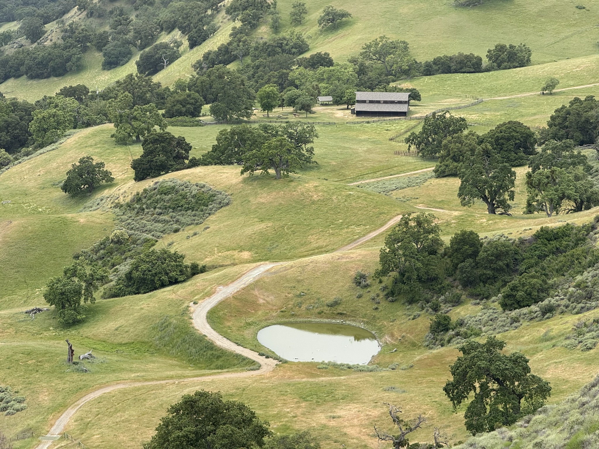 Sunol Wilderness Regional Preserve