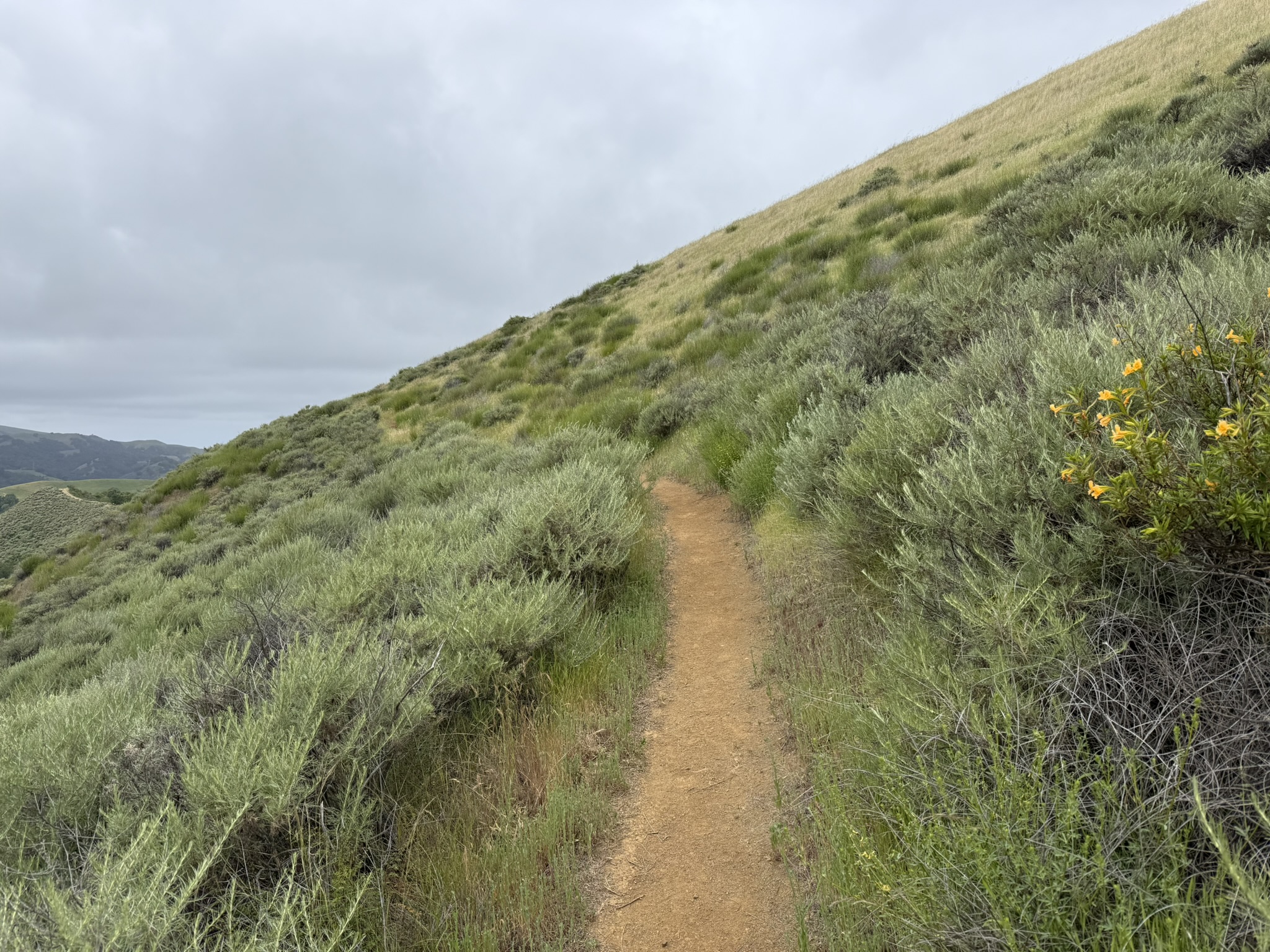 Sunol Wilderness Regional Preserve