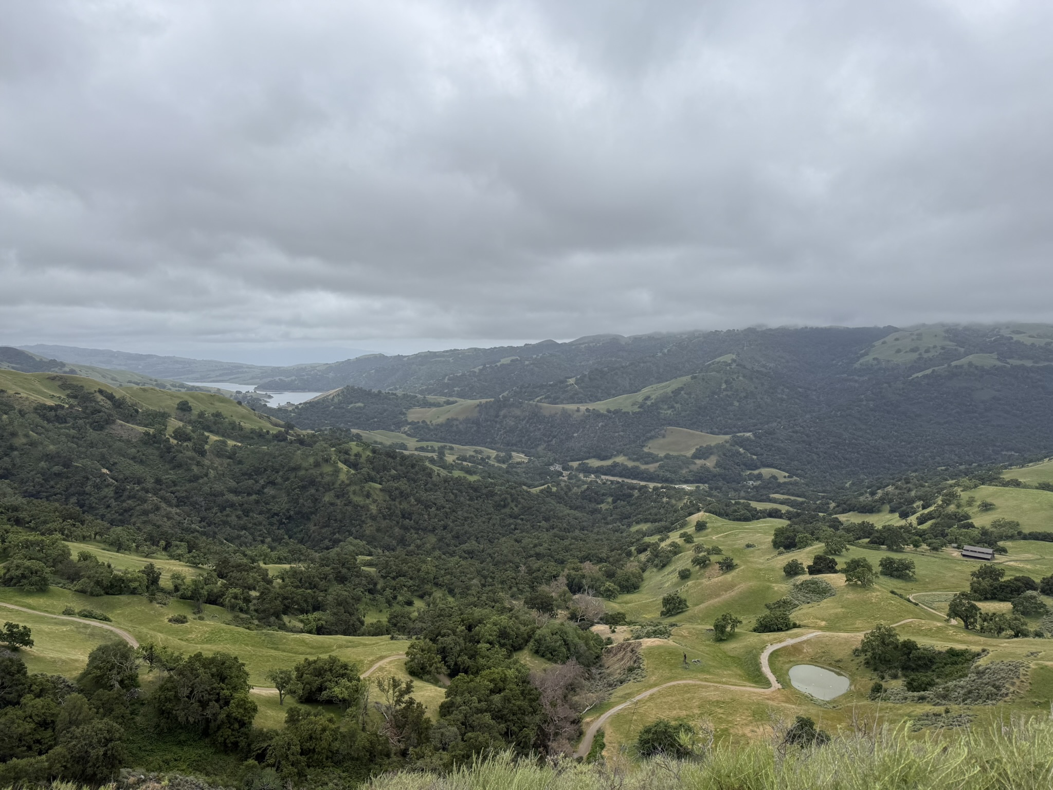 Sunol Wilderness Regional Preserve