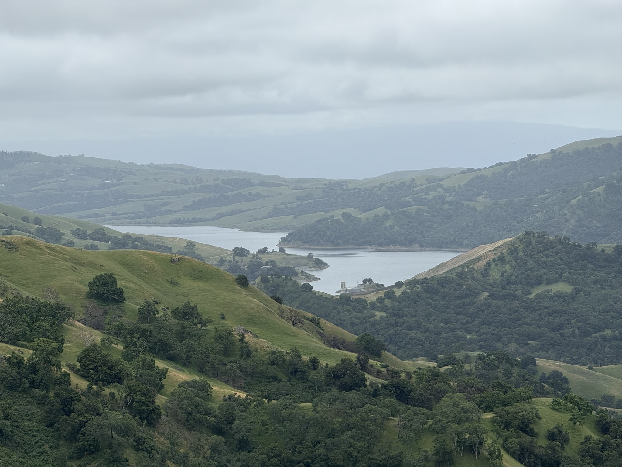 Sunol Wilderness Regional Preserve