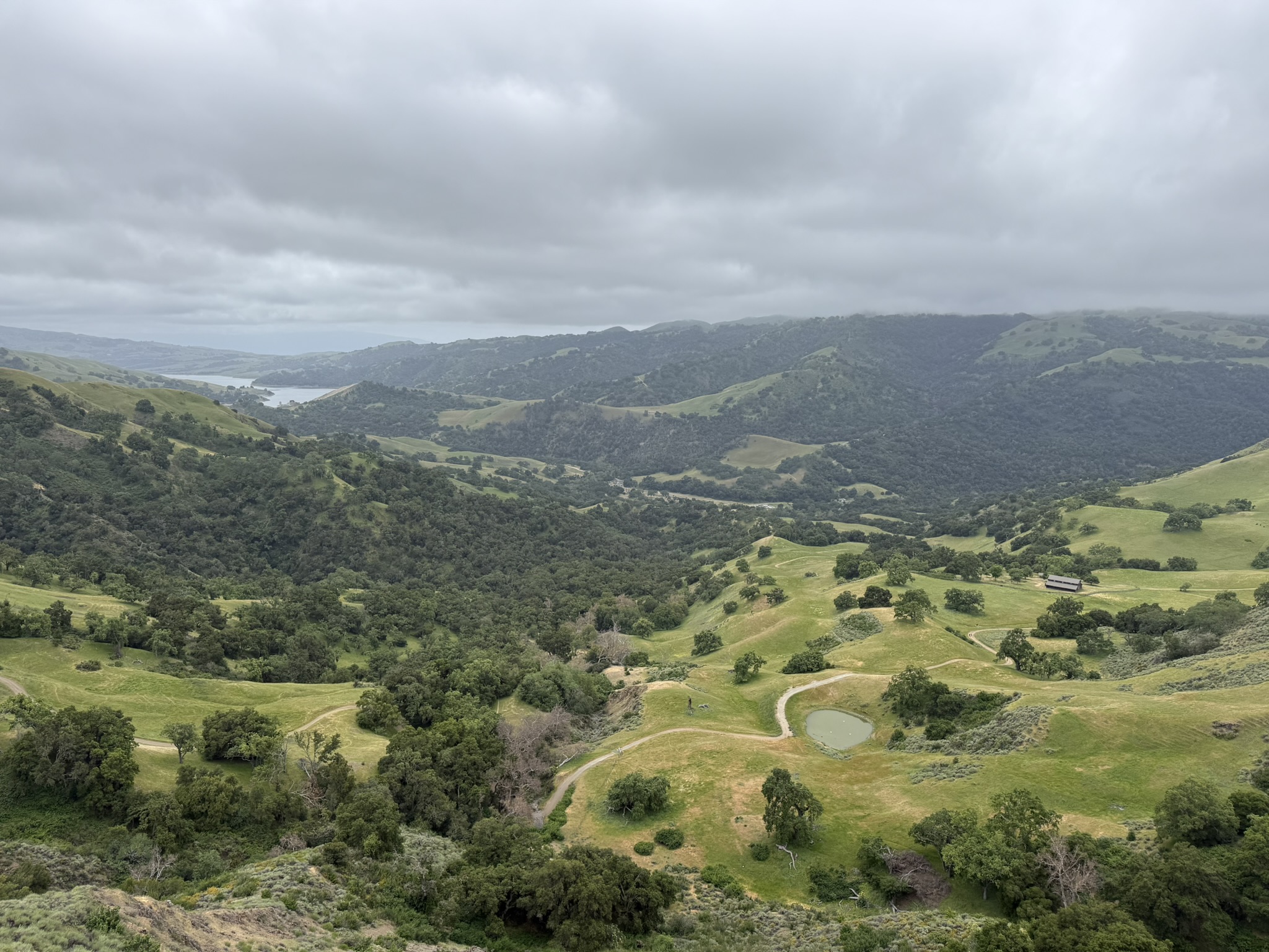 Sunol Wilderness Regional Preserve