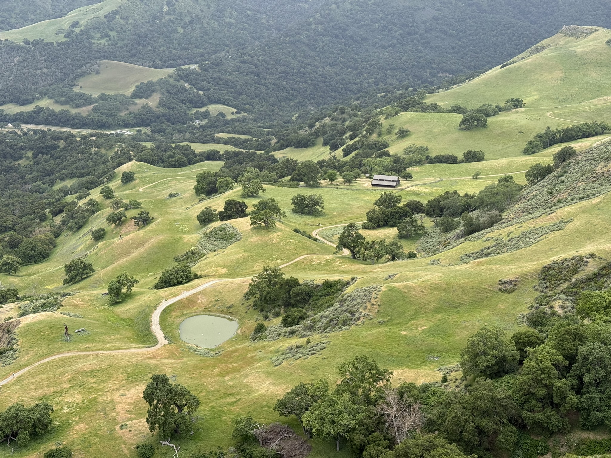 Sunol Wilderness Regional Preserve