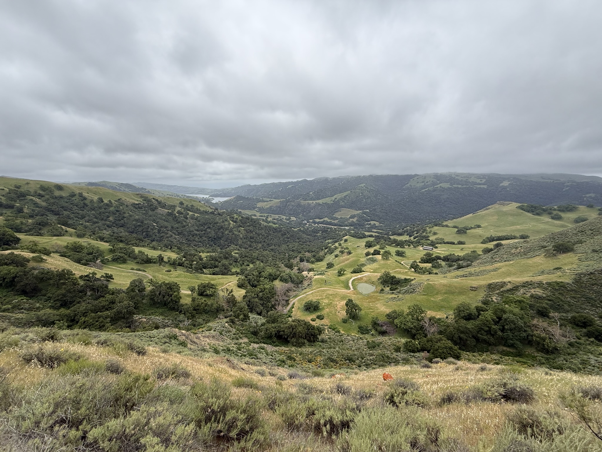 Sunol Wilderness Regional Preserve