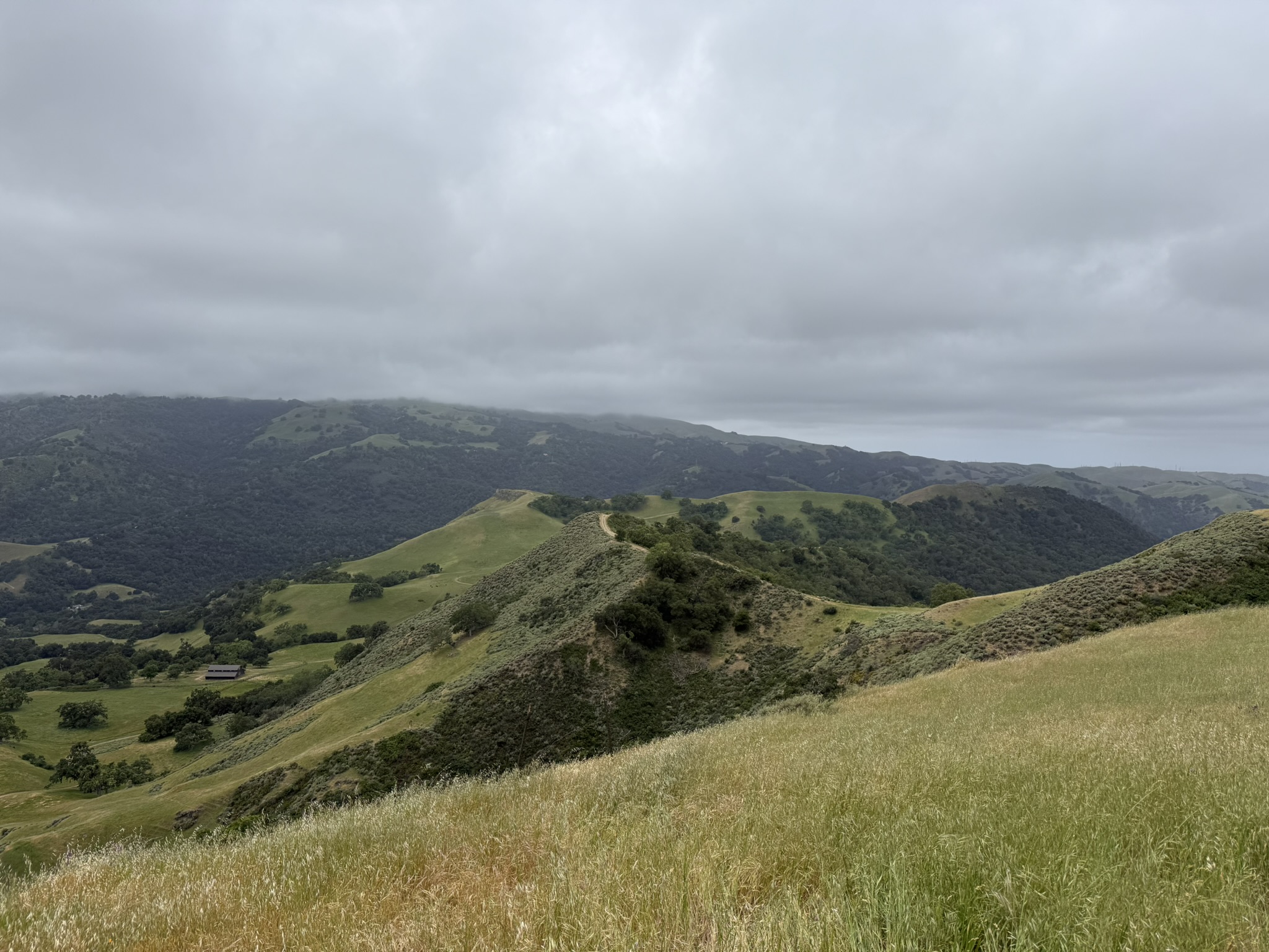 Sunol Wilderness Regional Preserve