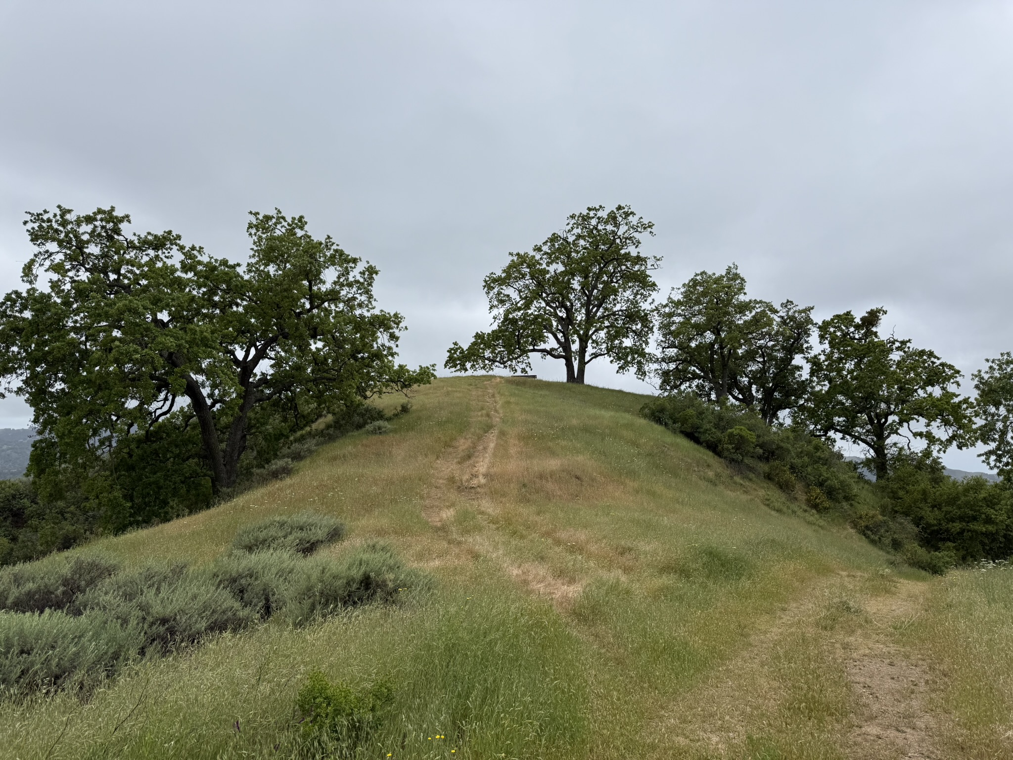Sunol Wilderness Regional Preserve