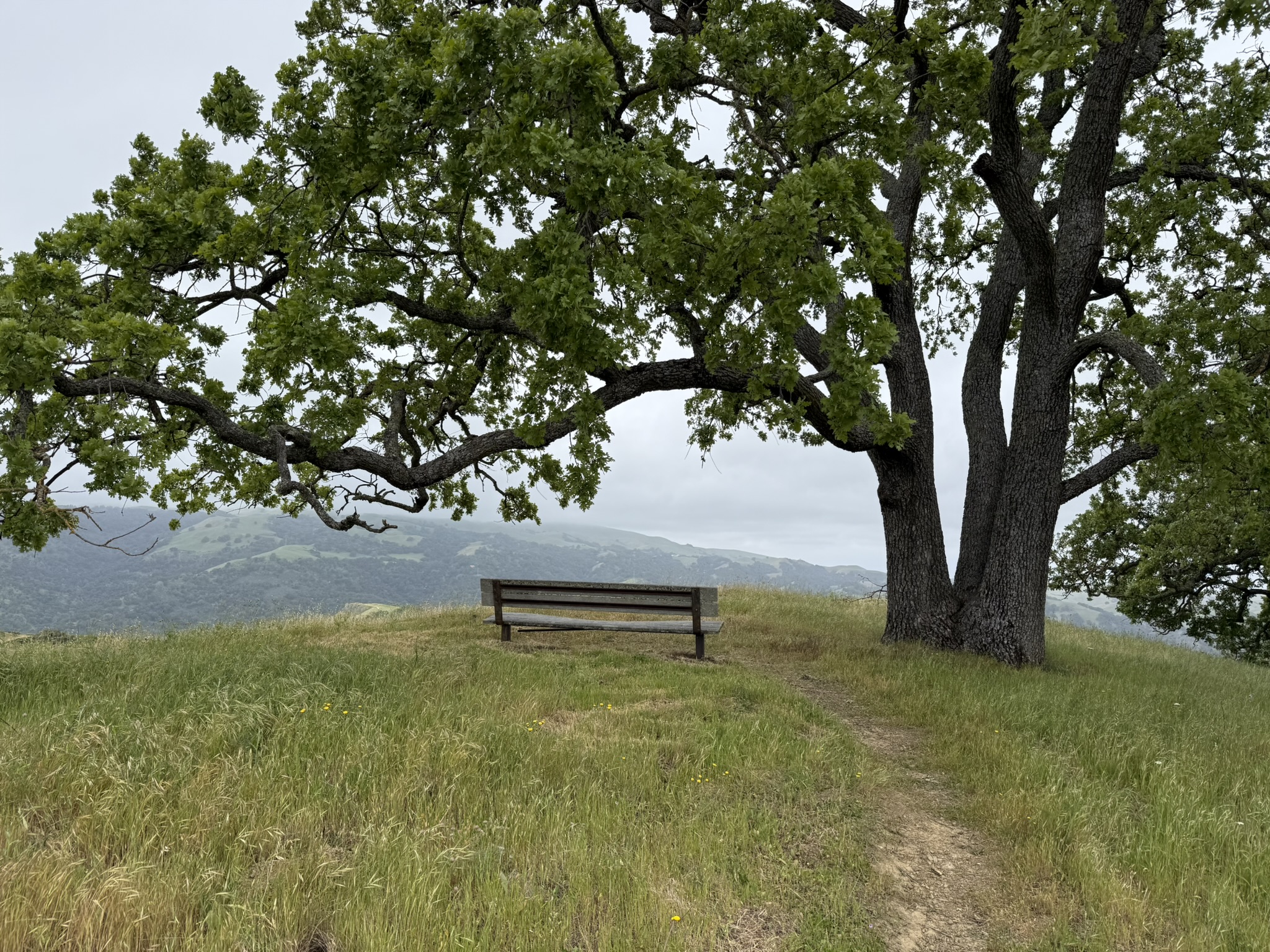 Sunol Wilderness Regional Preserve