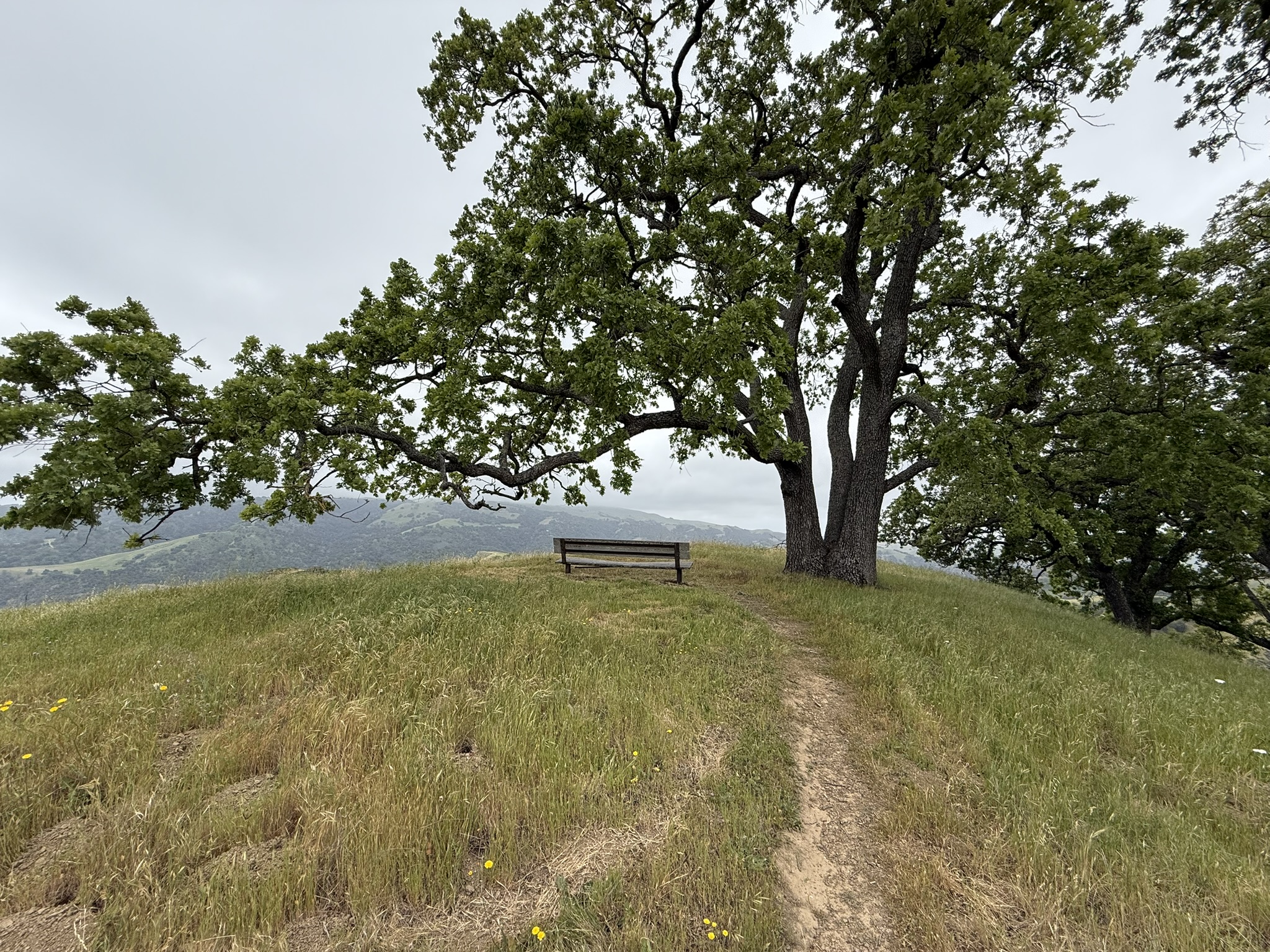 Sunol Wilderness Regional Preserve