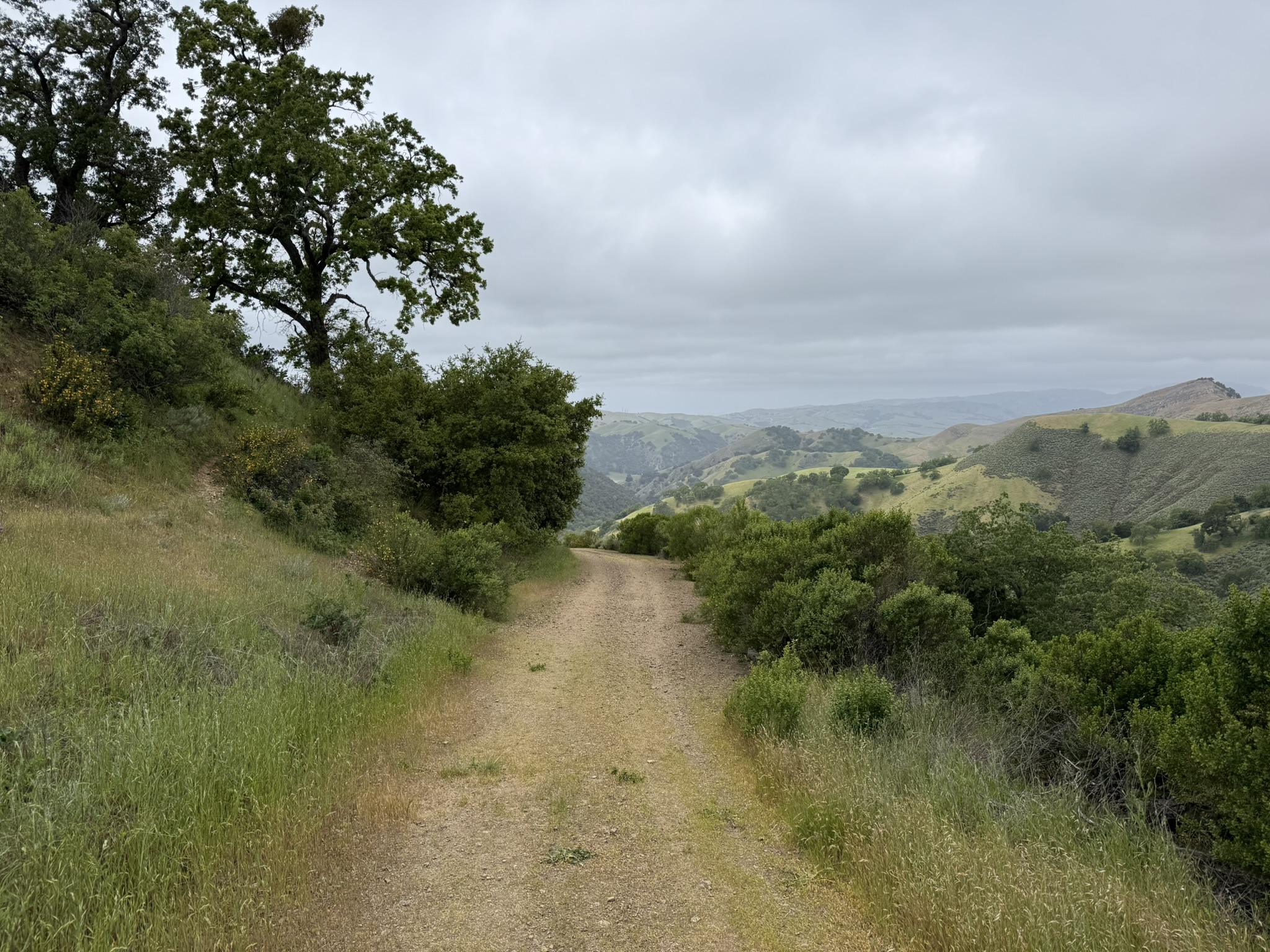 Sunol Wilderness Regional Preserve