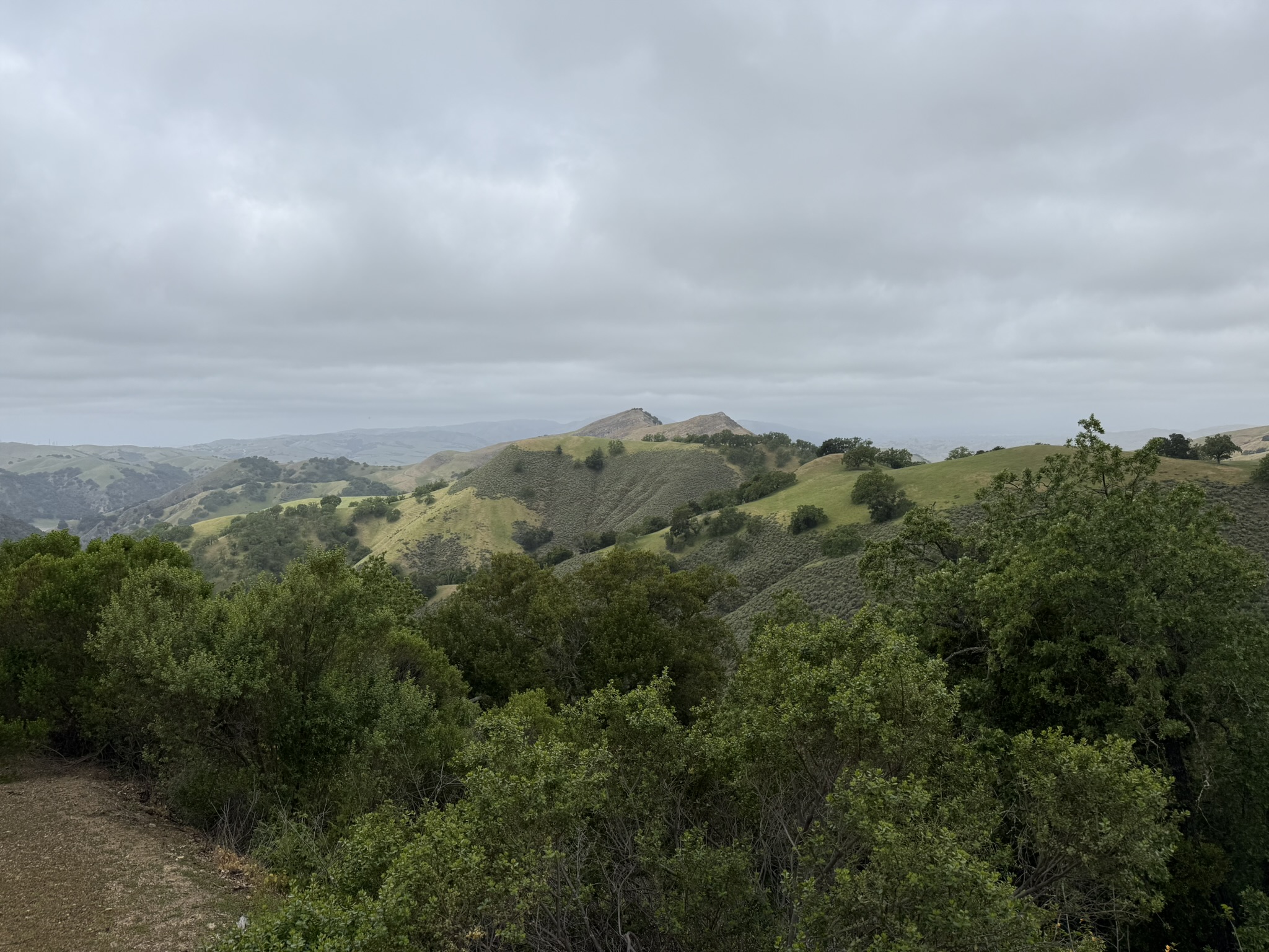Sunol Wilderness Regional Preserve