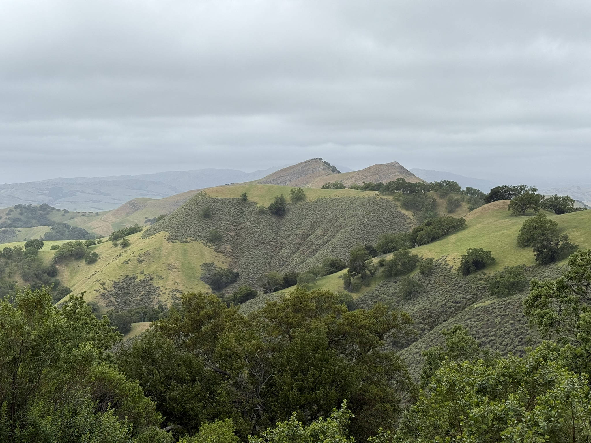 Sunol Wilderness Regional Preserve