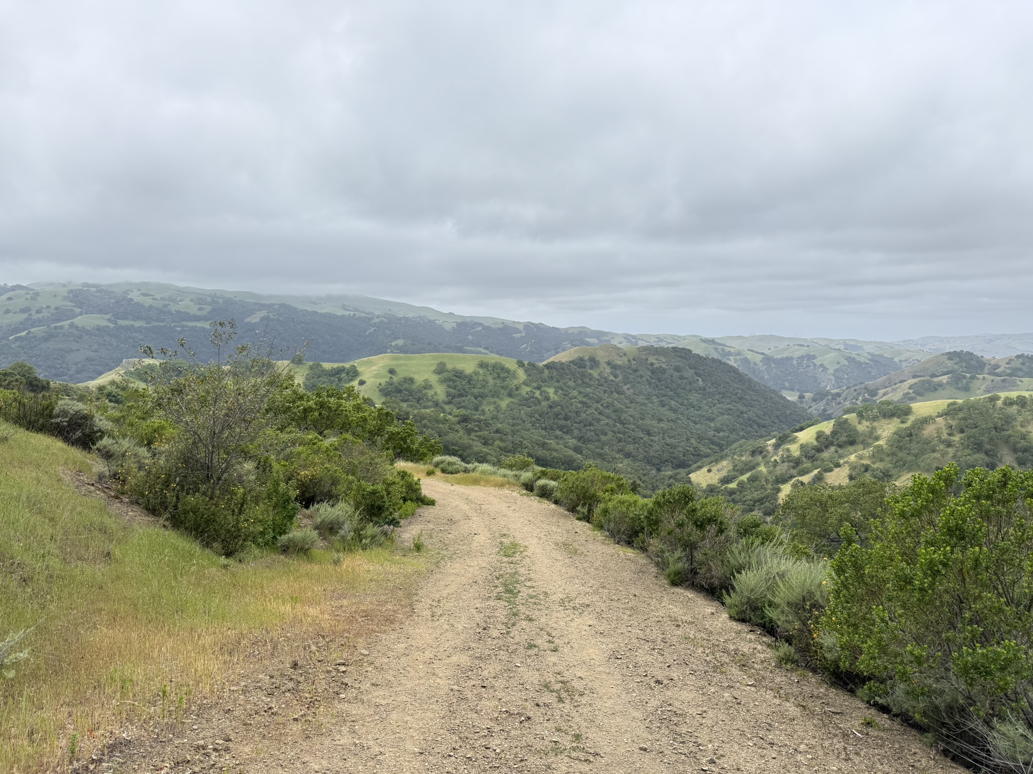 Sunol Wilderness Regional Preserve