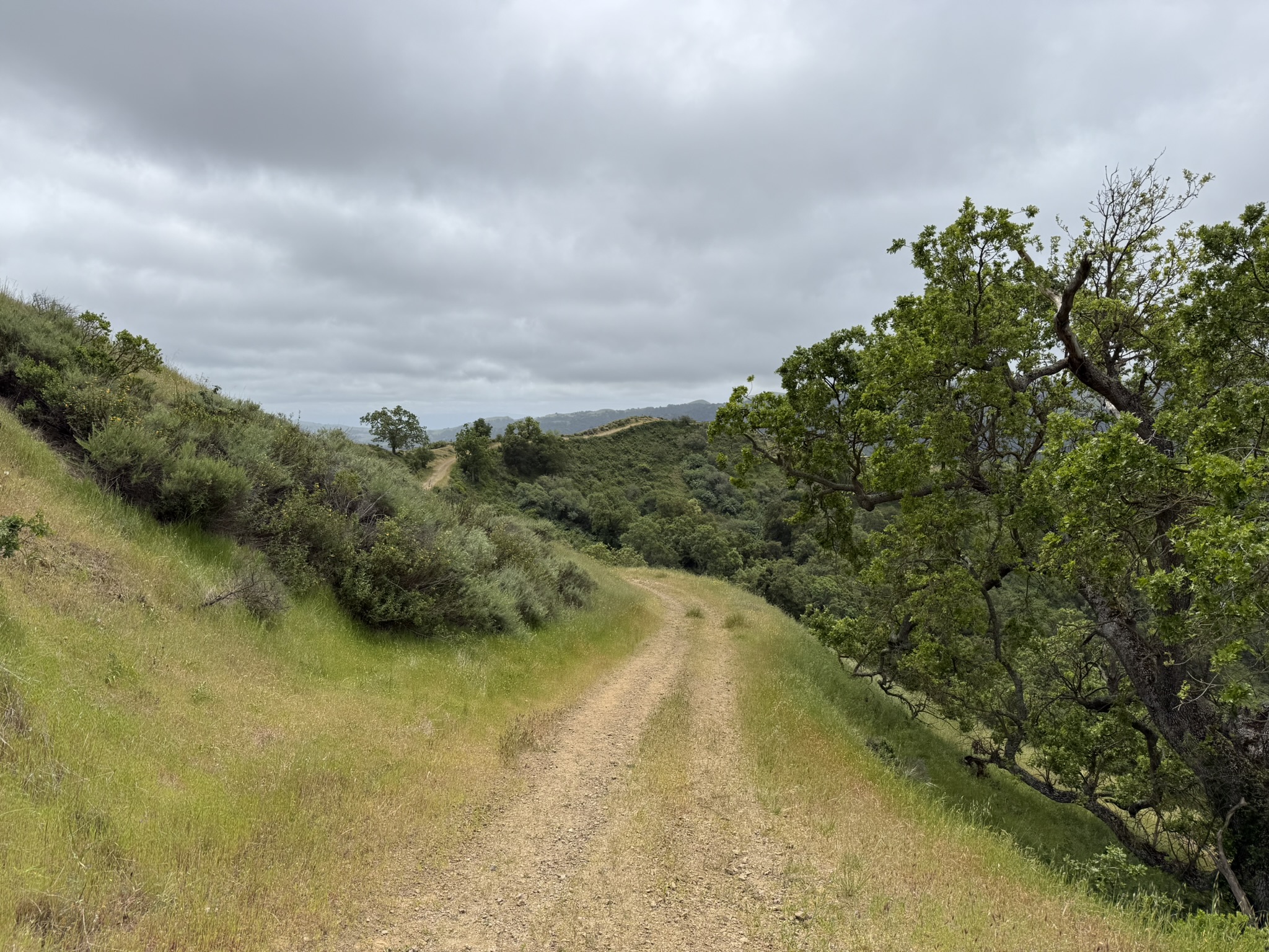 Sunol Wilderness Regional Preserve