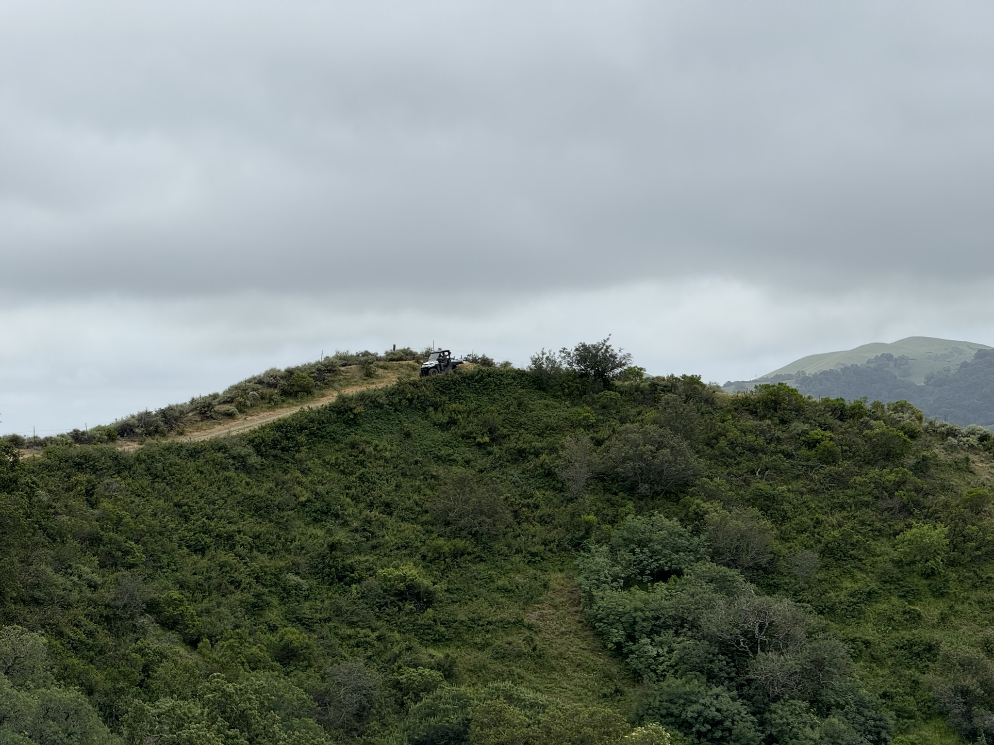Sunol Wilderness Regional Preserve
