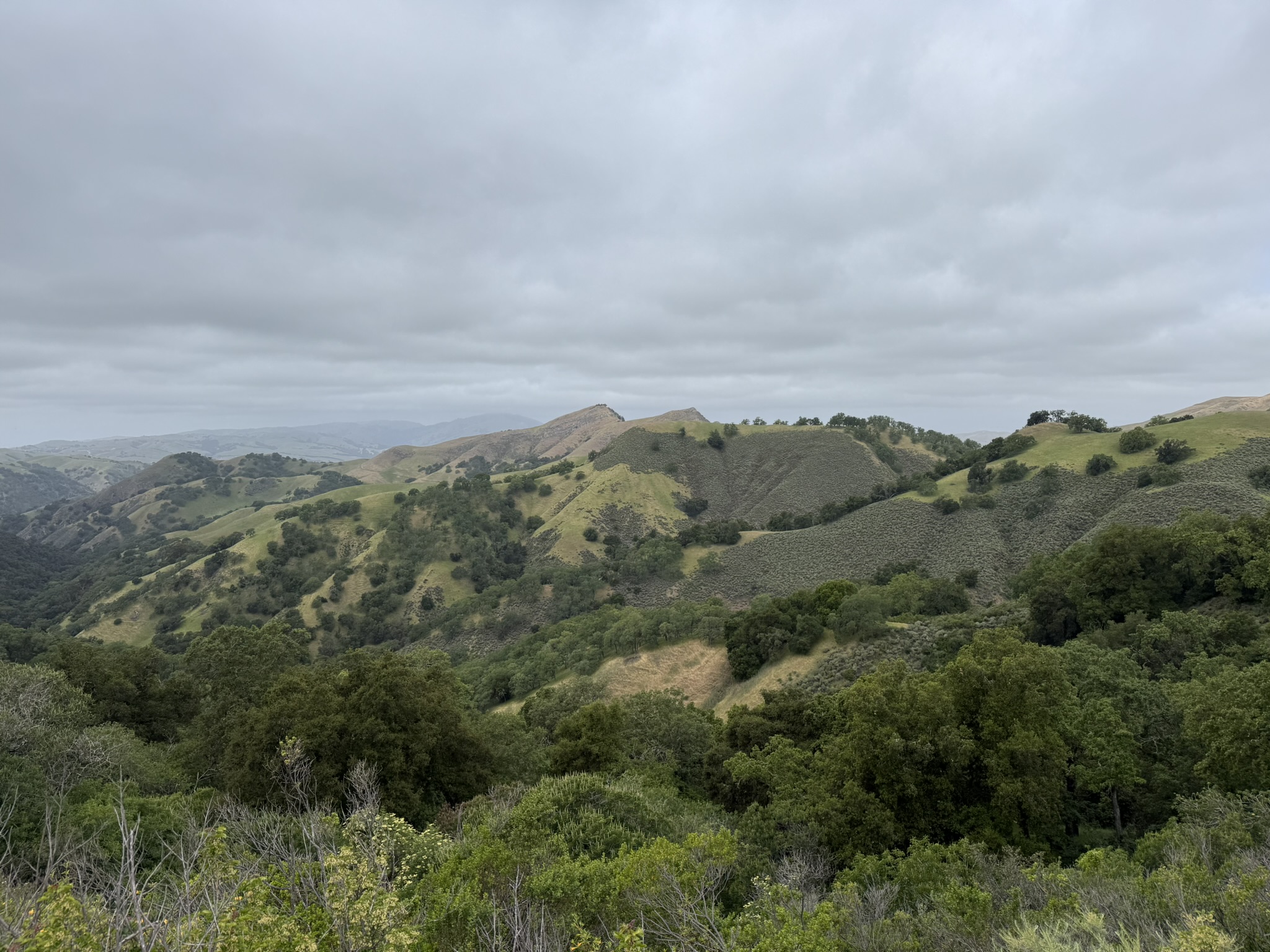 Sunol Wilderness Regional Preserve