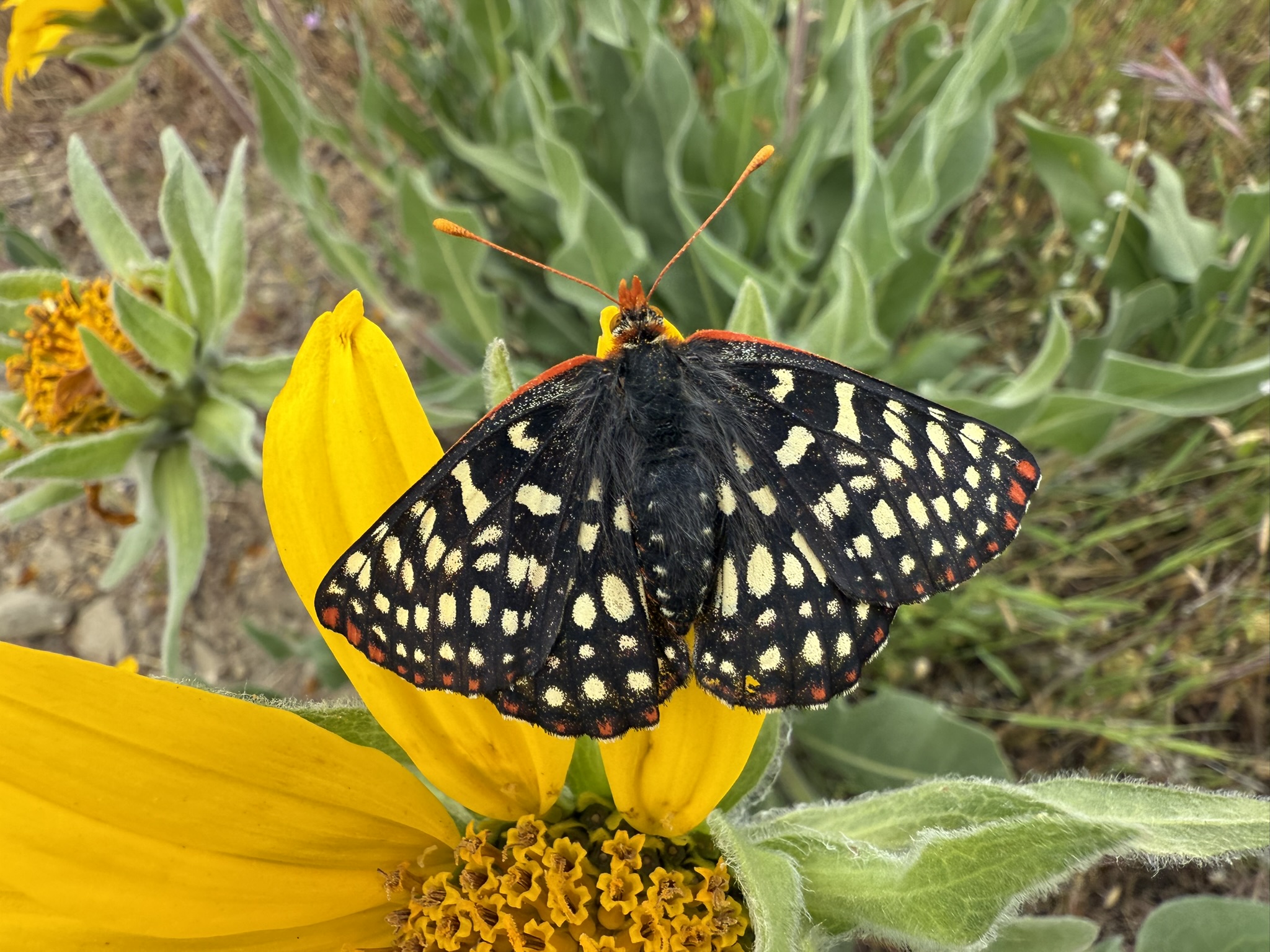 Sunol Wilderness Regional Preserve