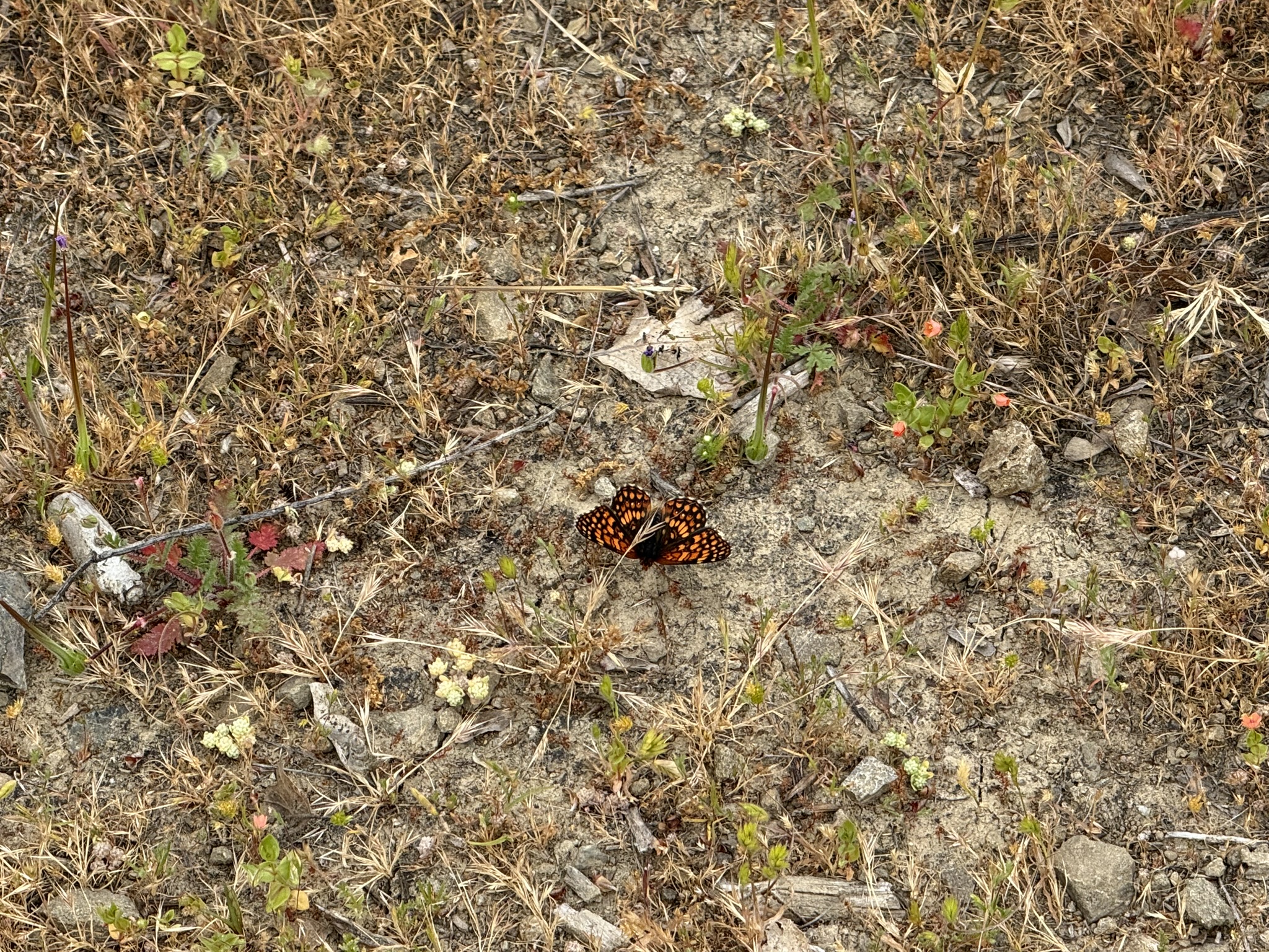 Sunol Wilderness Regional Preserve