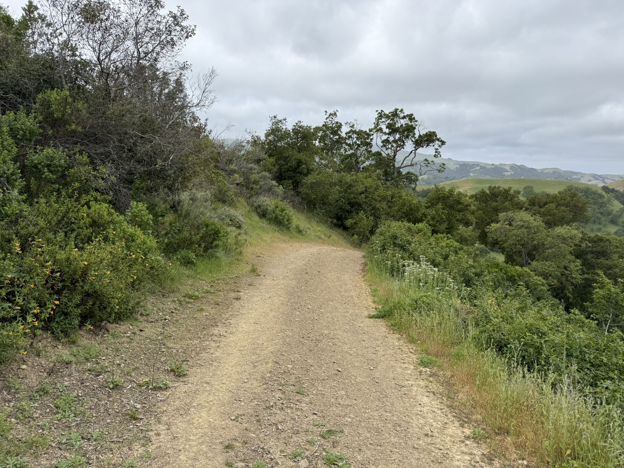 Sunol Wilderness Regional Preserve