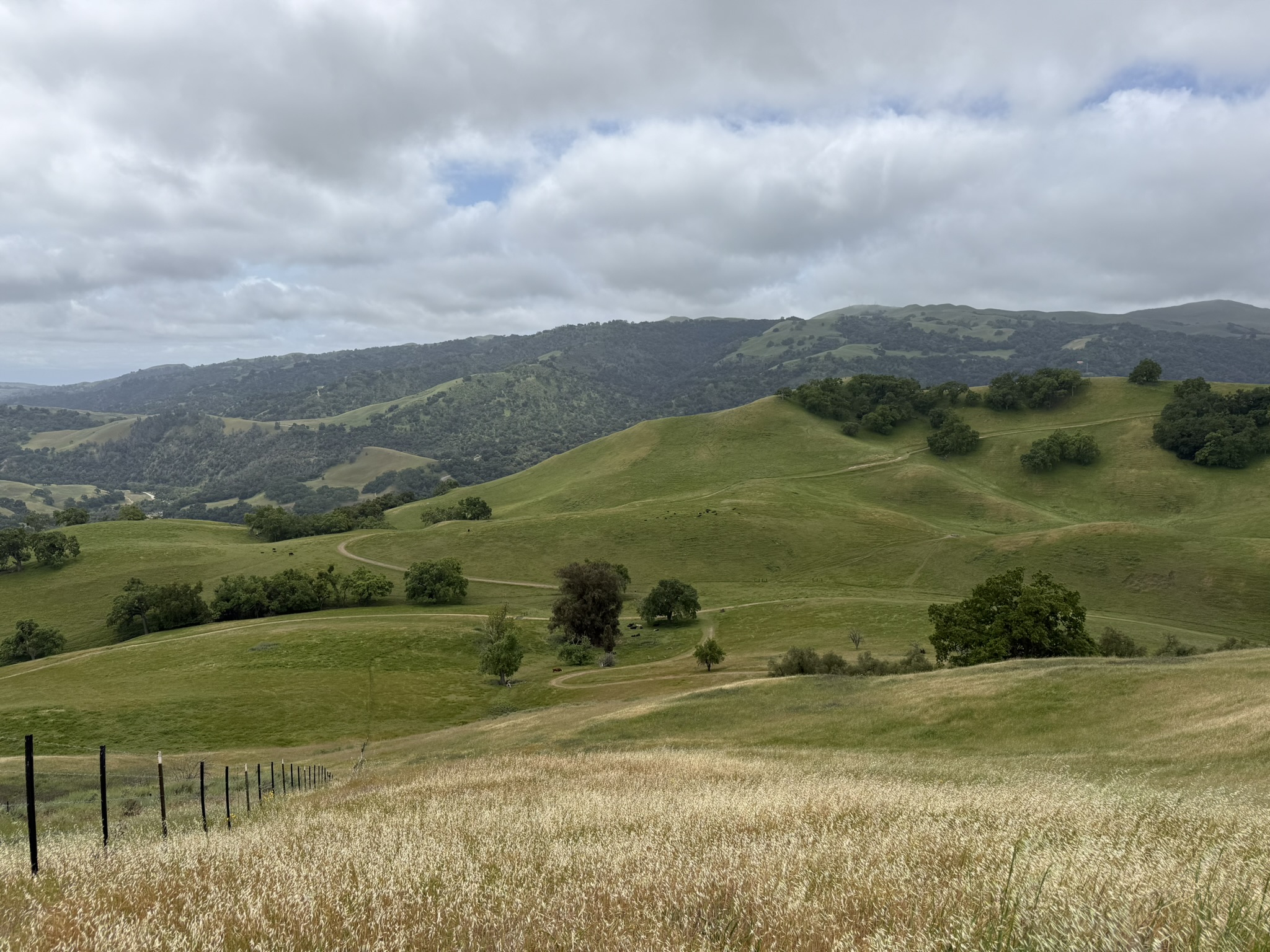 Sunol Wilderness Regional Preserve