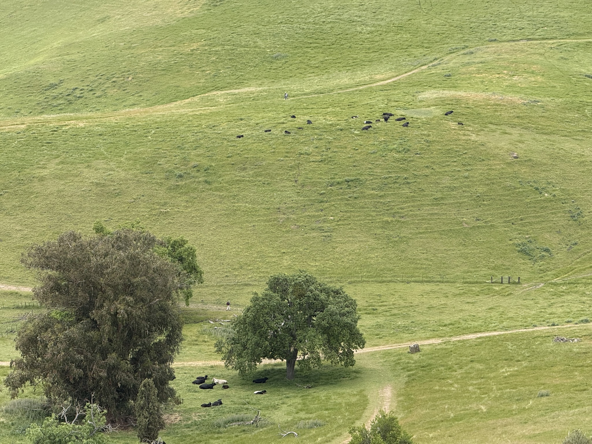 Sunol Wilderness Regional Preserve