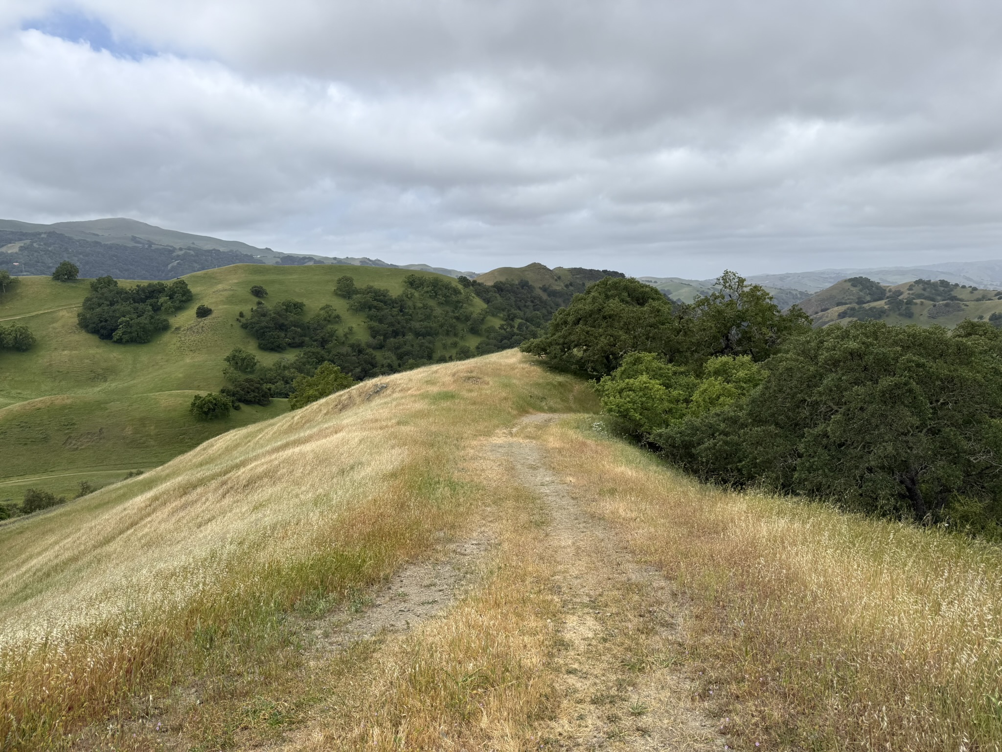 Sunol Wilderness Regional Preserve