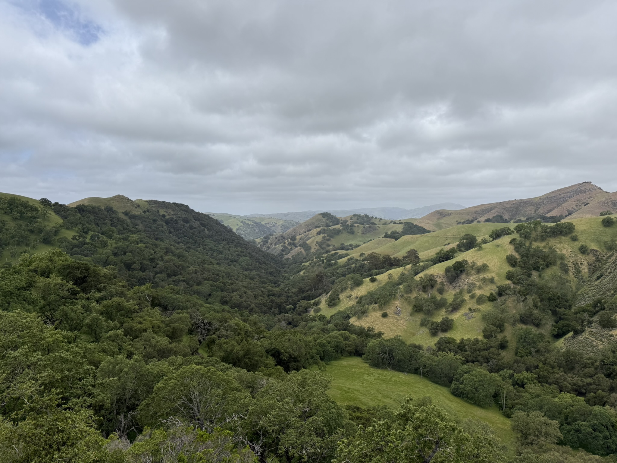 Sunol Wilderness Regional Preserve