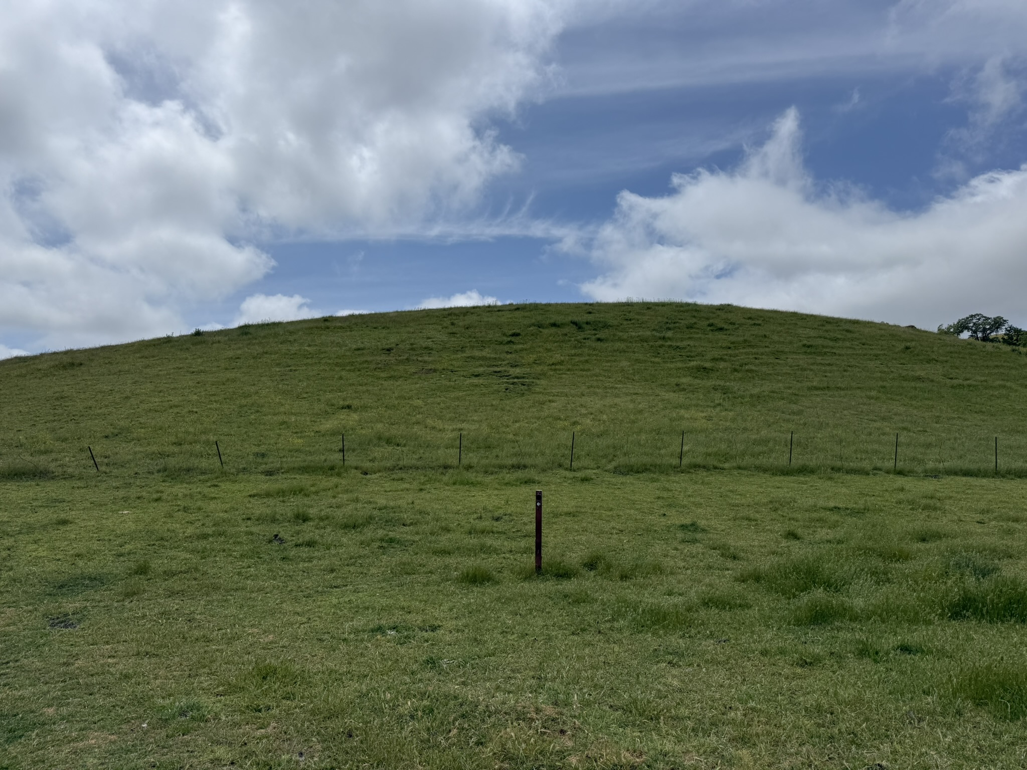 Sunol Wilderness Regional Preserve