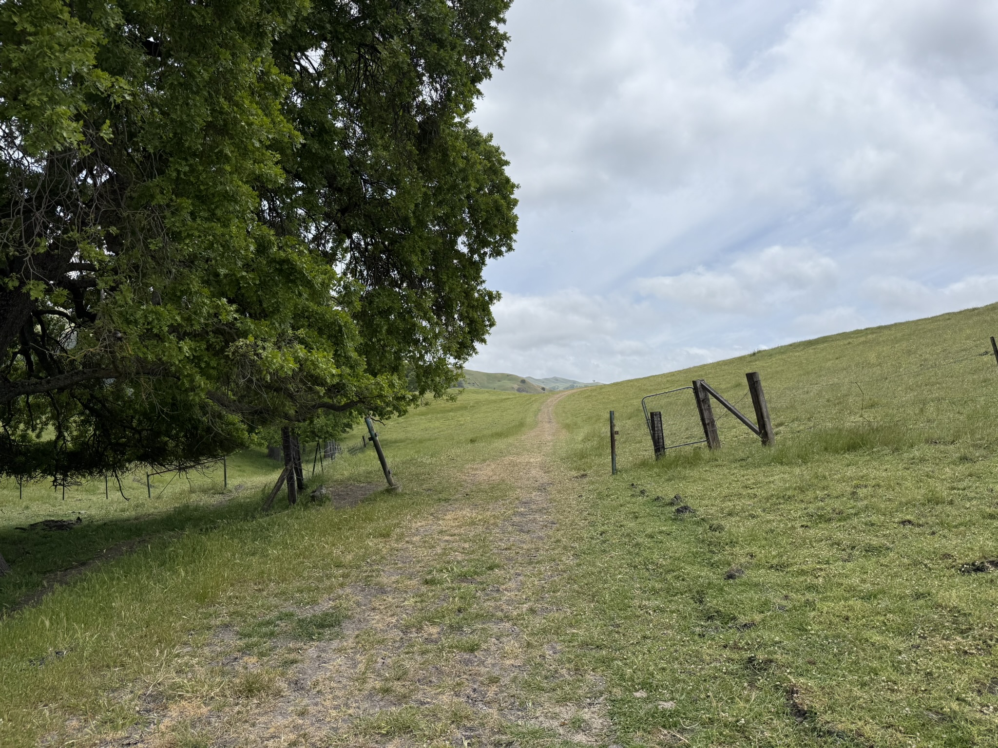 Sunol Wilderness Regional Preserve