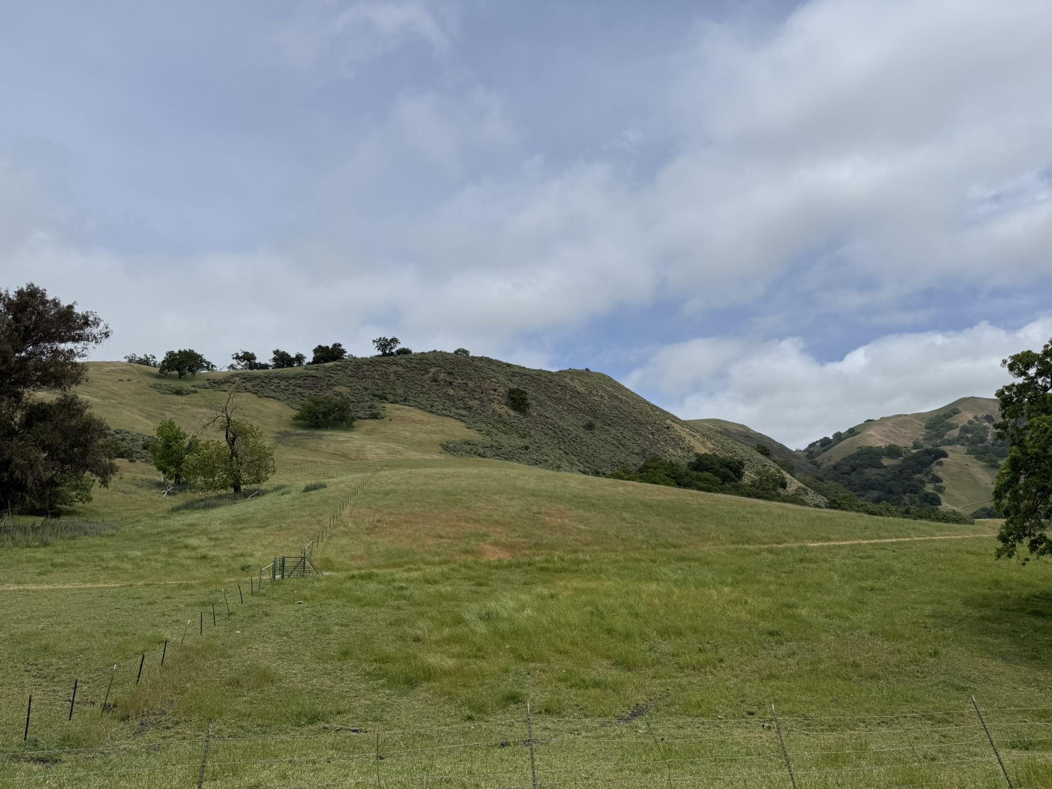 Sunol Wilderness Regional Preserve