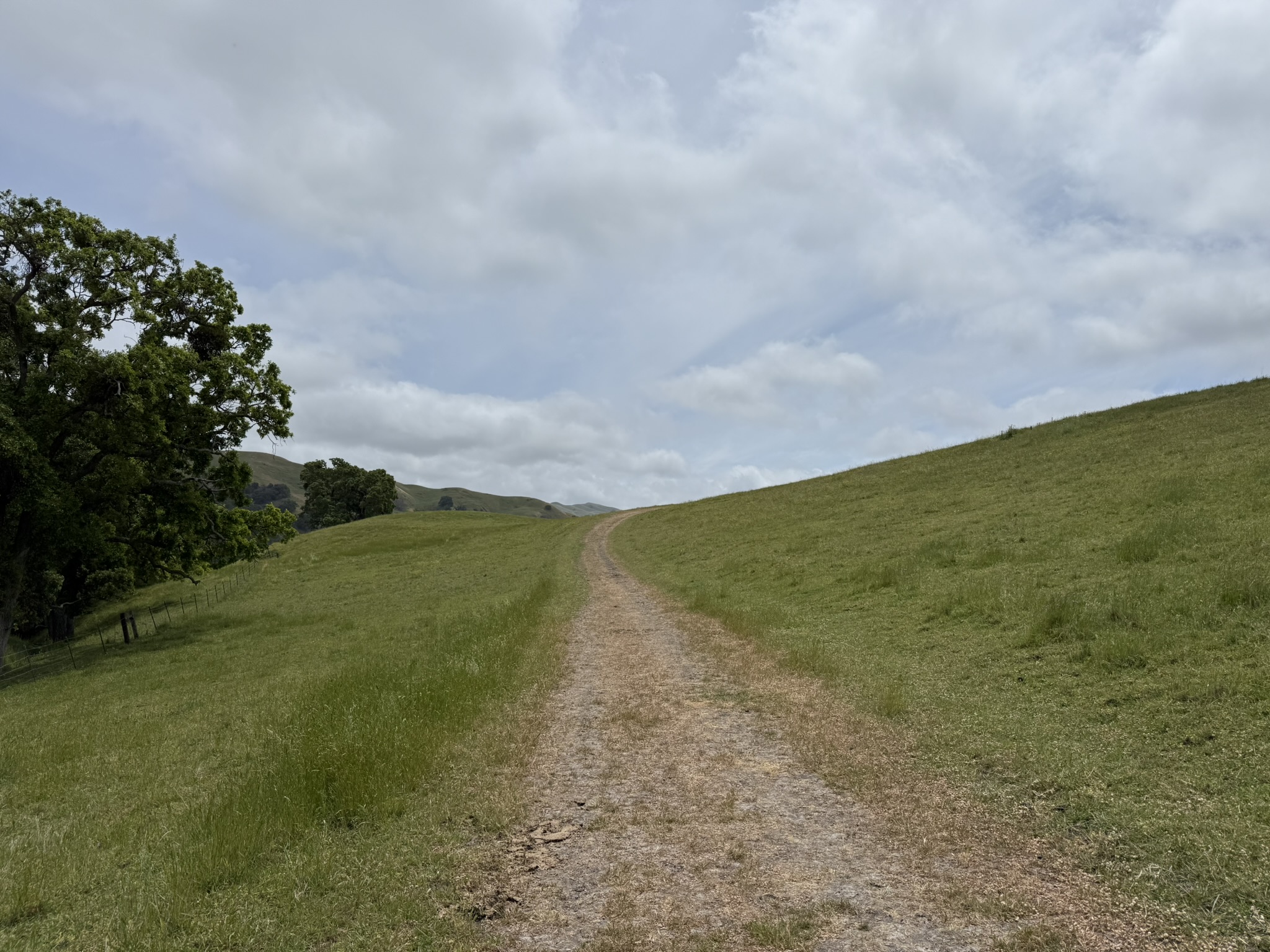 Sunol Wilderness Regional Preserve