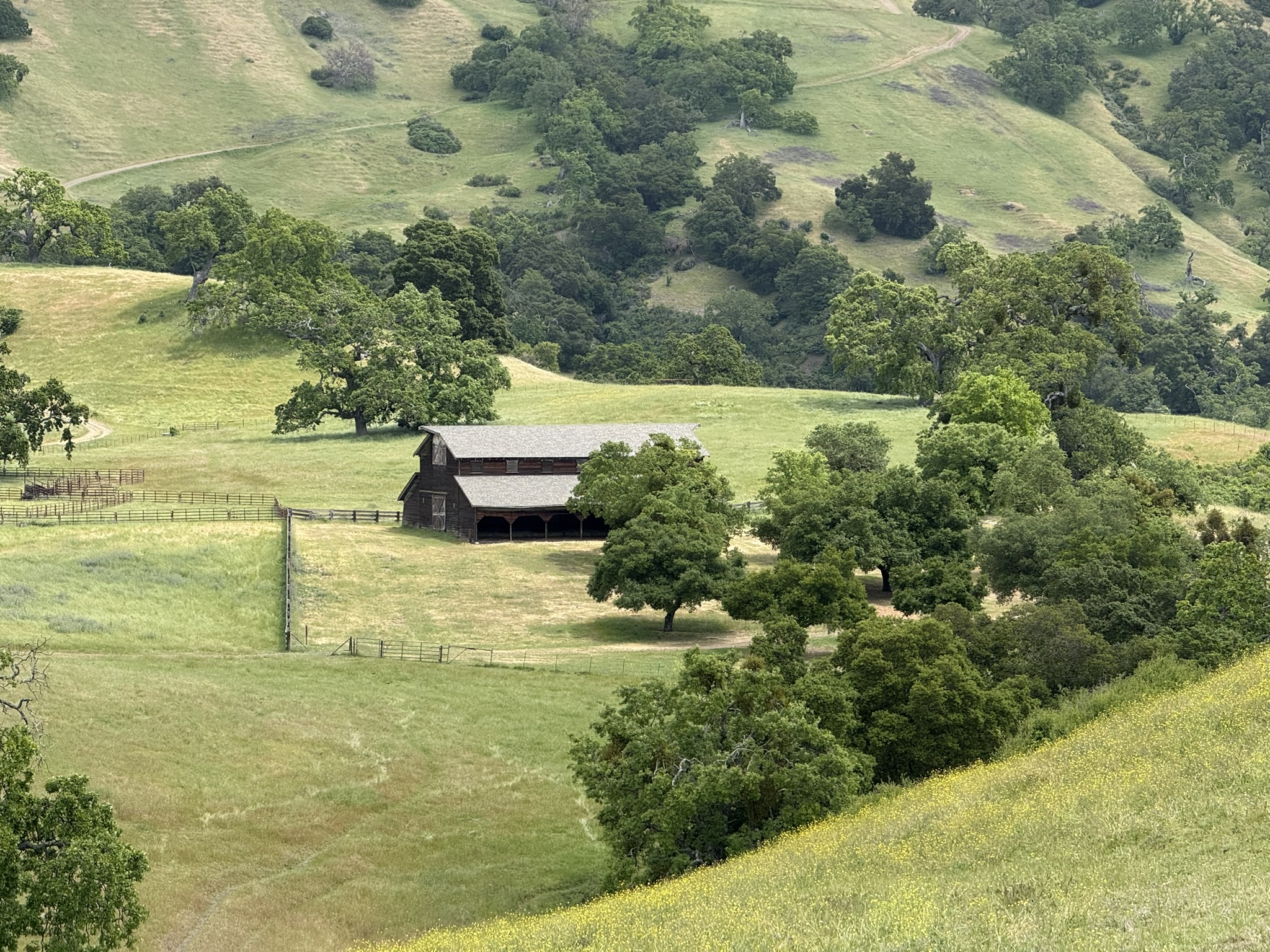 Sunol Wilderness Regional Preserve