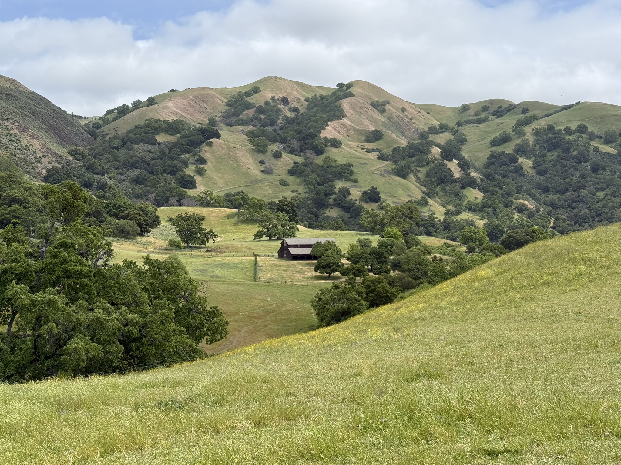 Sunol Wilderness Regional Preserve