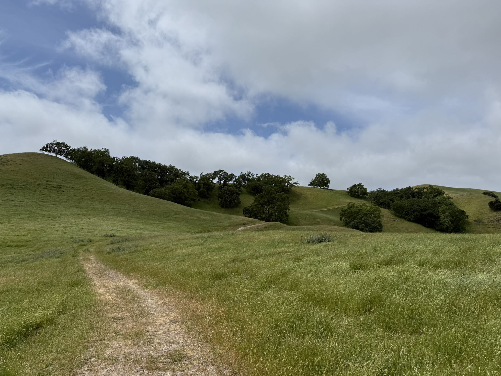 Sunol Wilderness Regional Preserve
