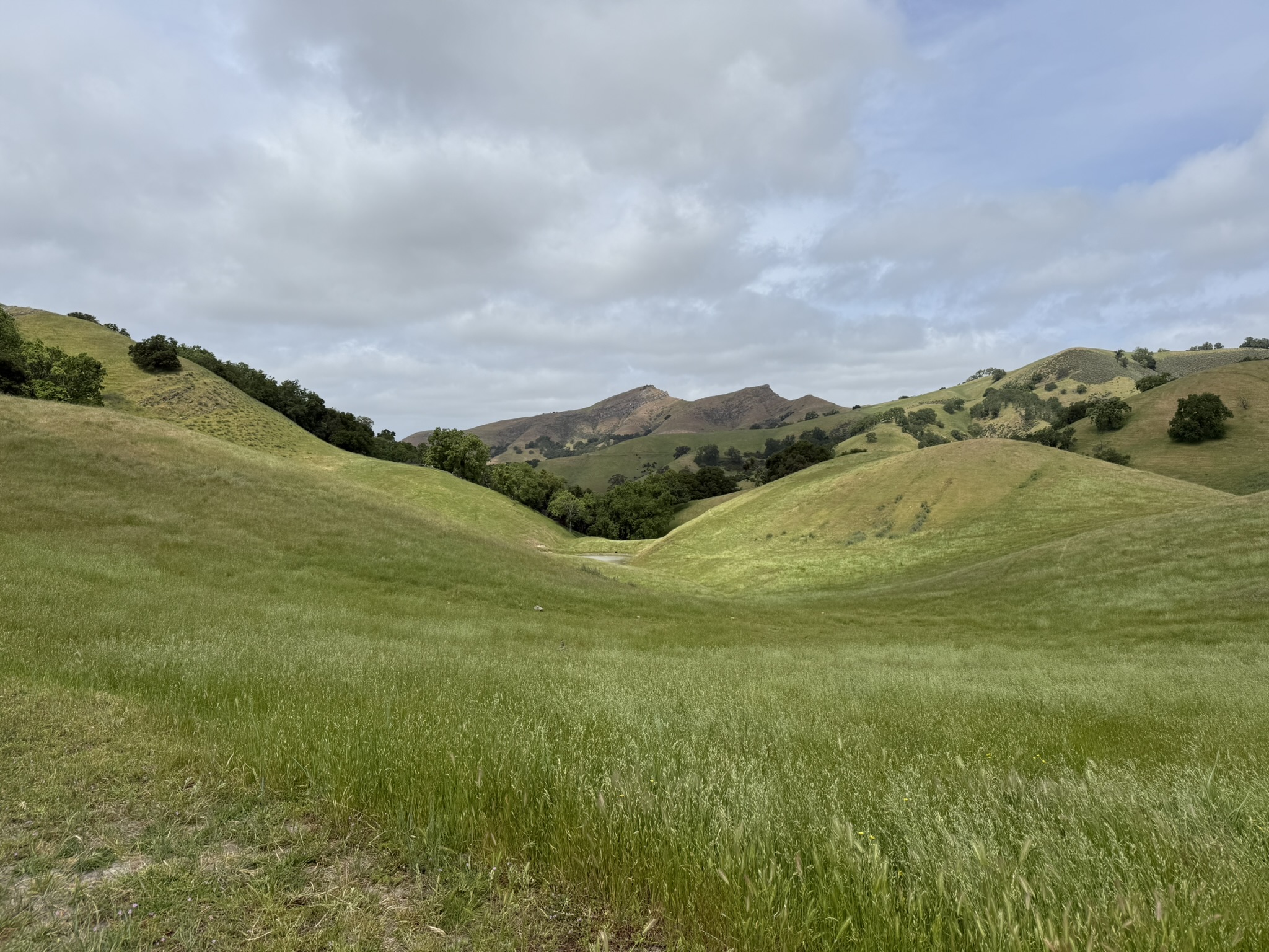 Sunol Wilderness Regional Preserve