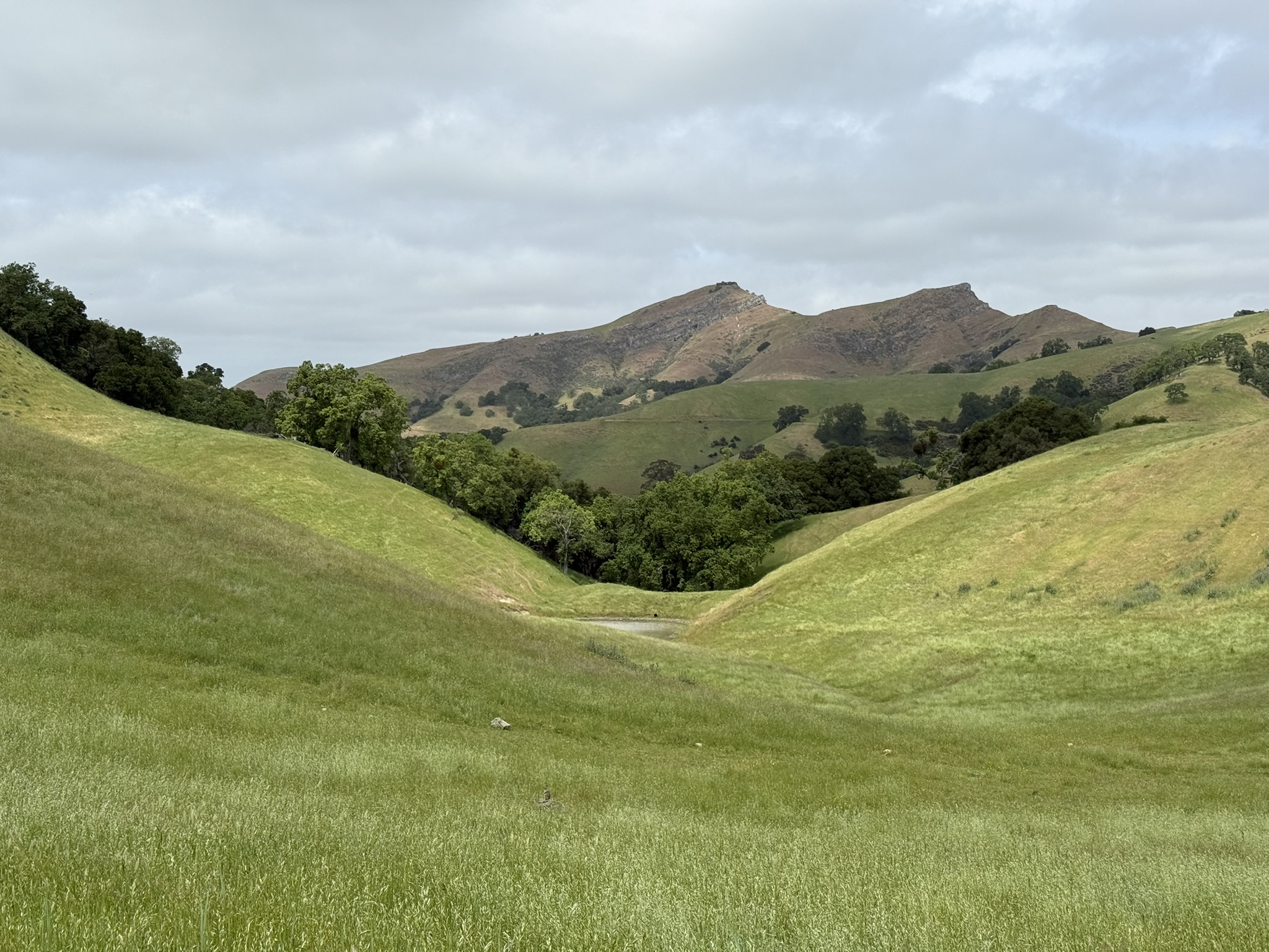 Sunol Wilderness Regional Preserve