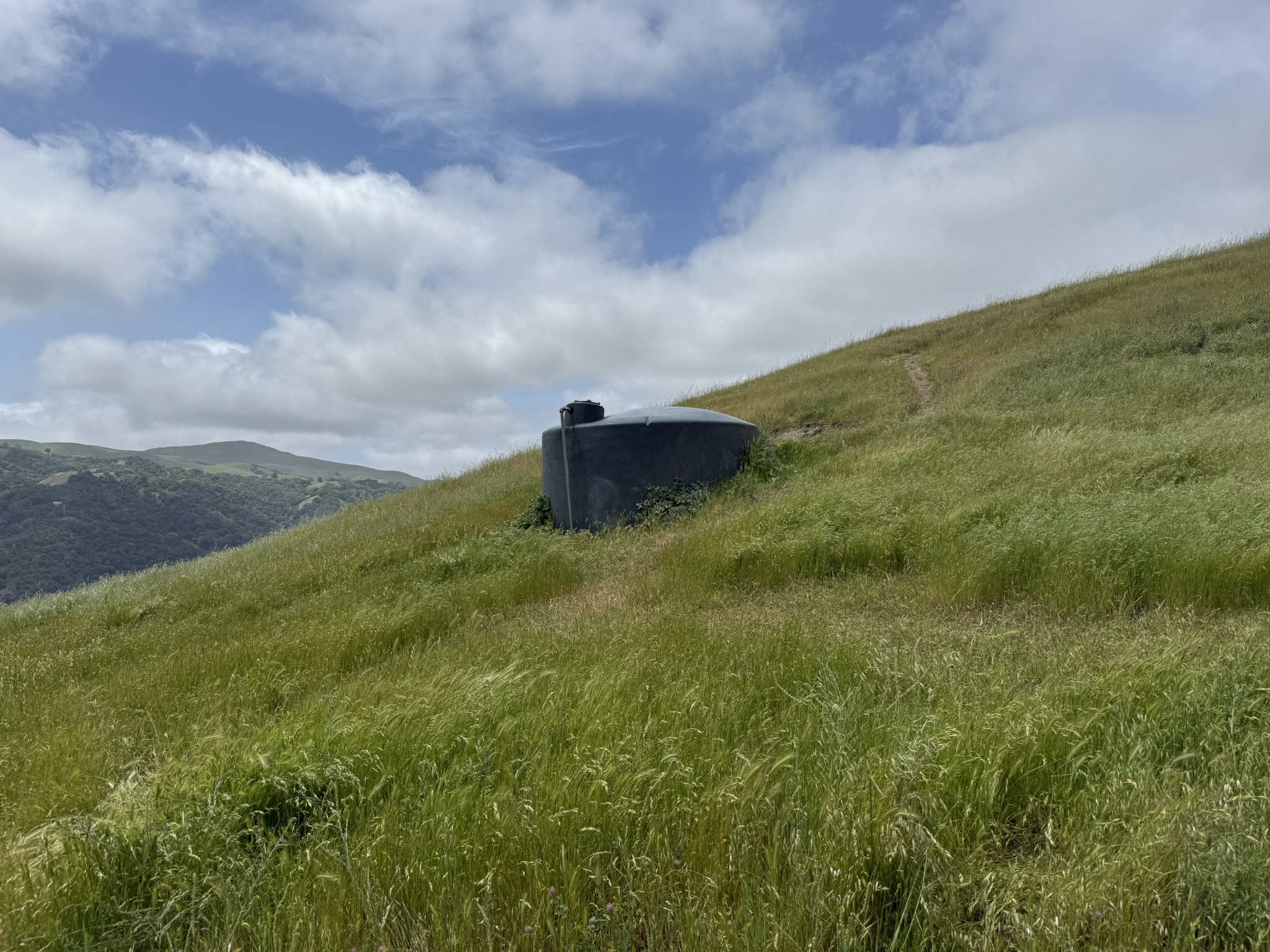 Sunol Wilderness Regional Preserve