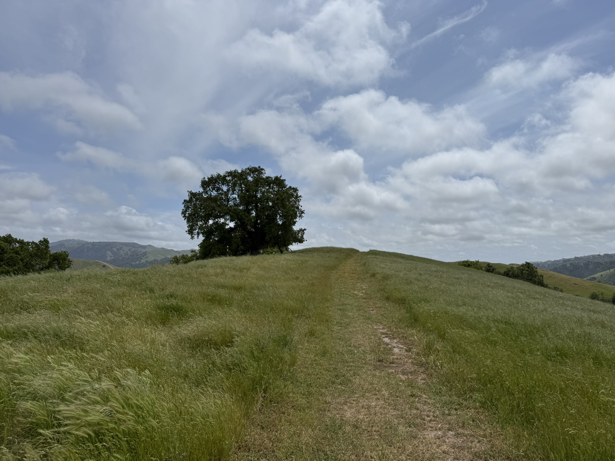 Sunol Wilderness Regional Preserve