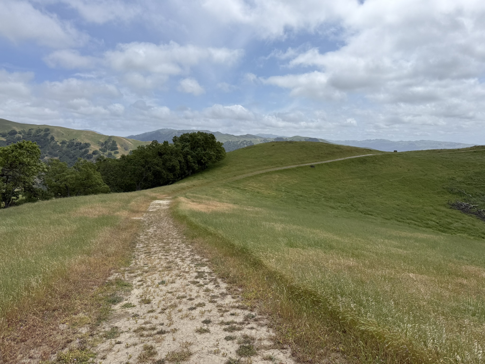 Sunol Wilderness Regional Preserve