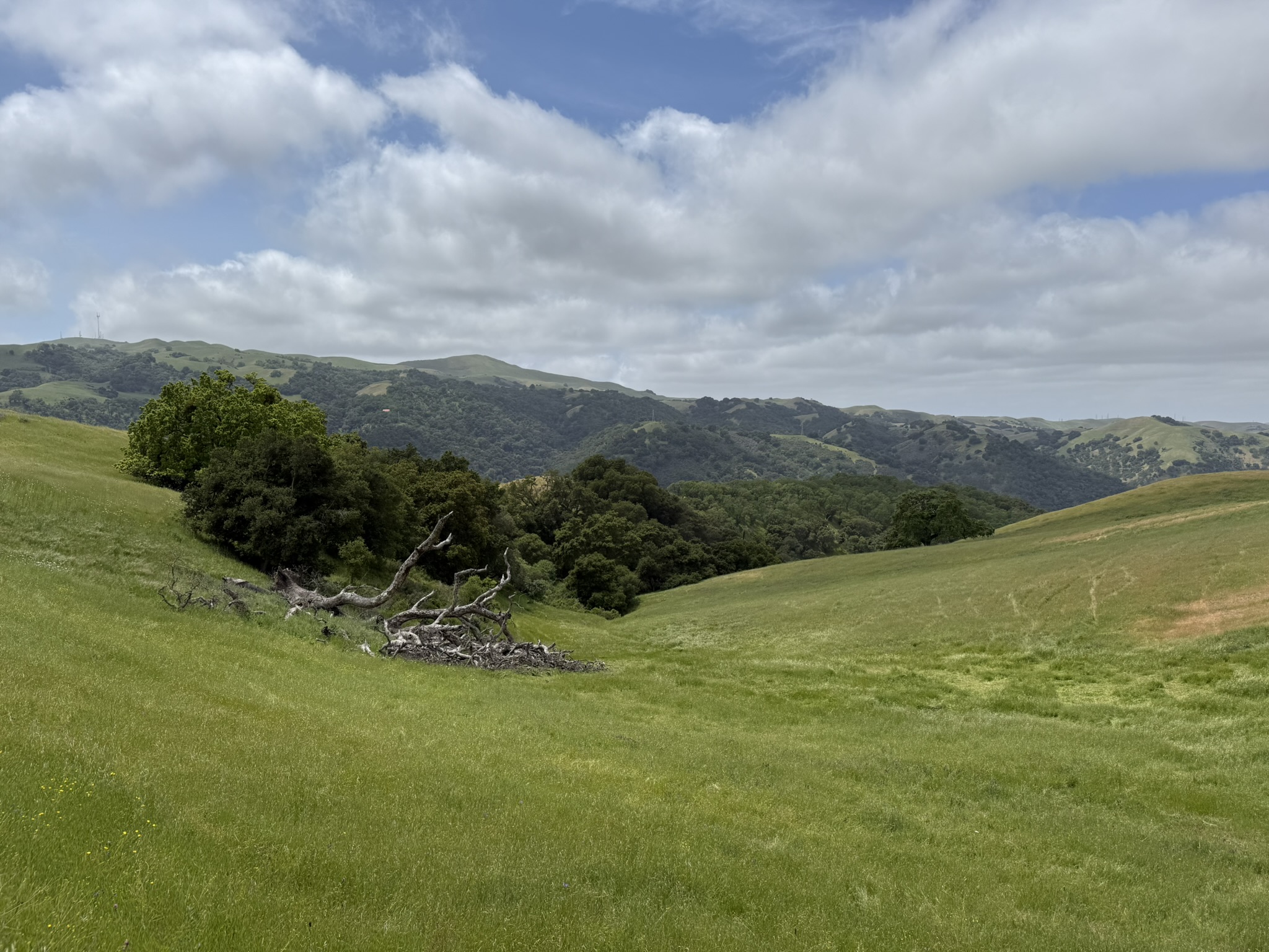 Sunol Wilderness Regional Preserve