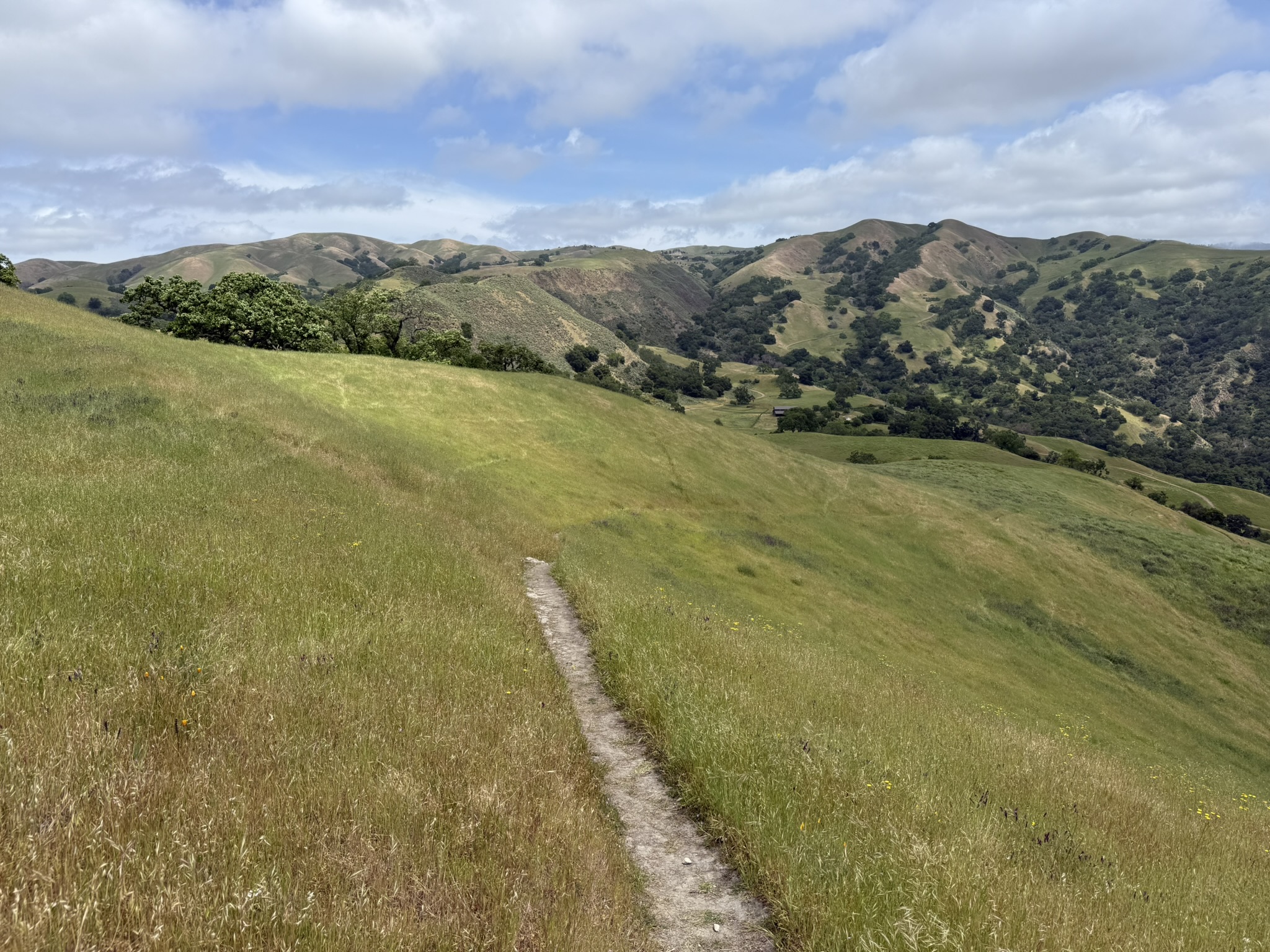 Sunol Wilderness Regional Preserve