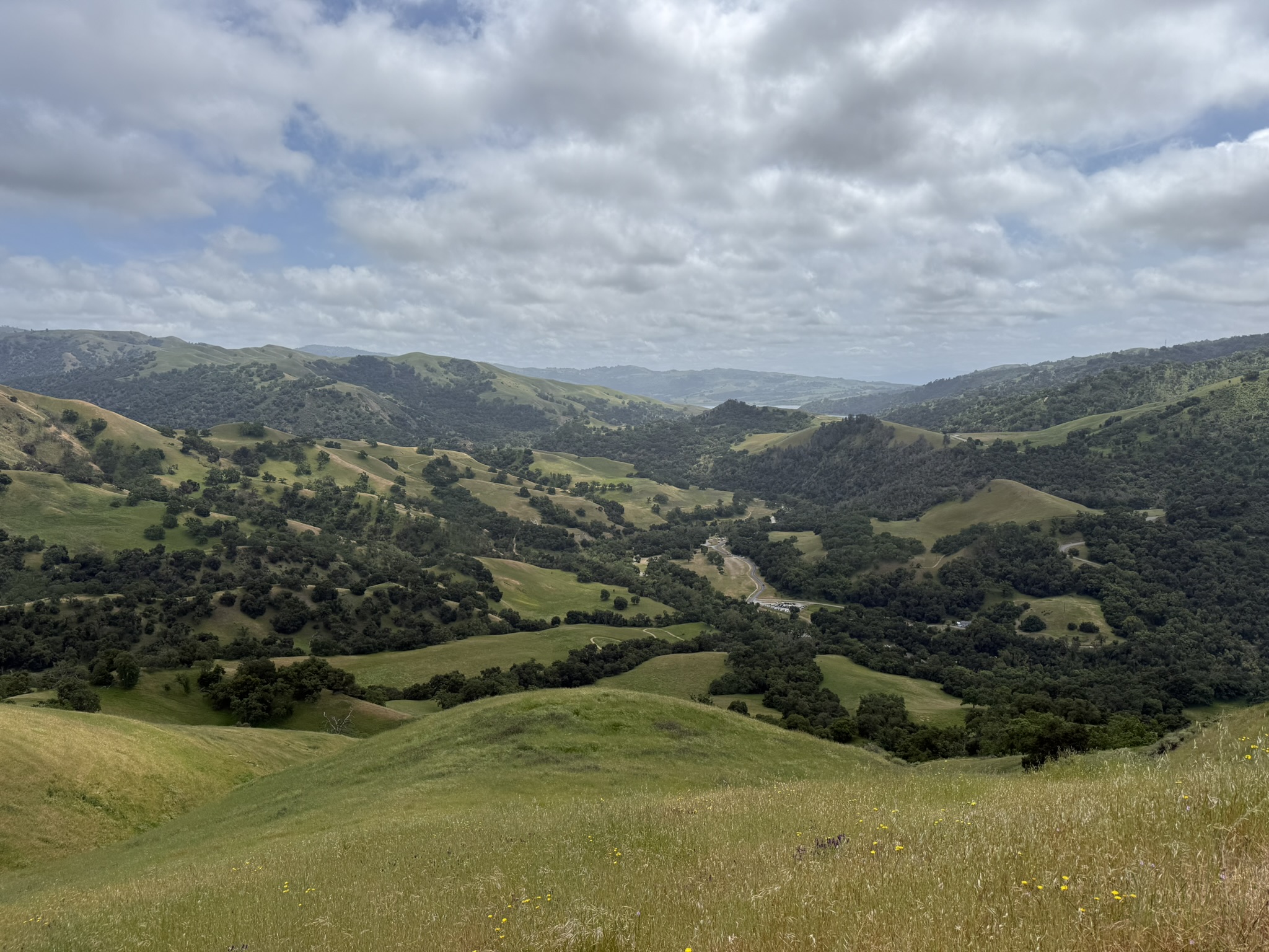 Sunol Wilderness Regional Preserve