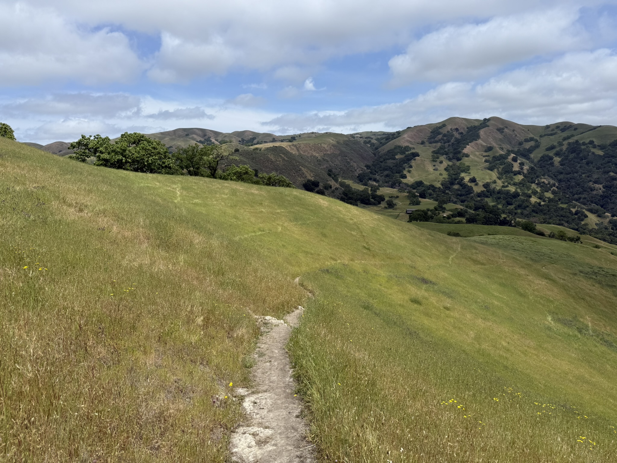Sunol Wilderness Regional Preserve